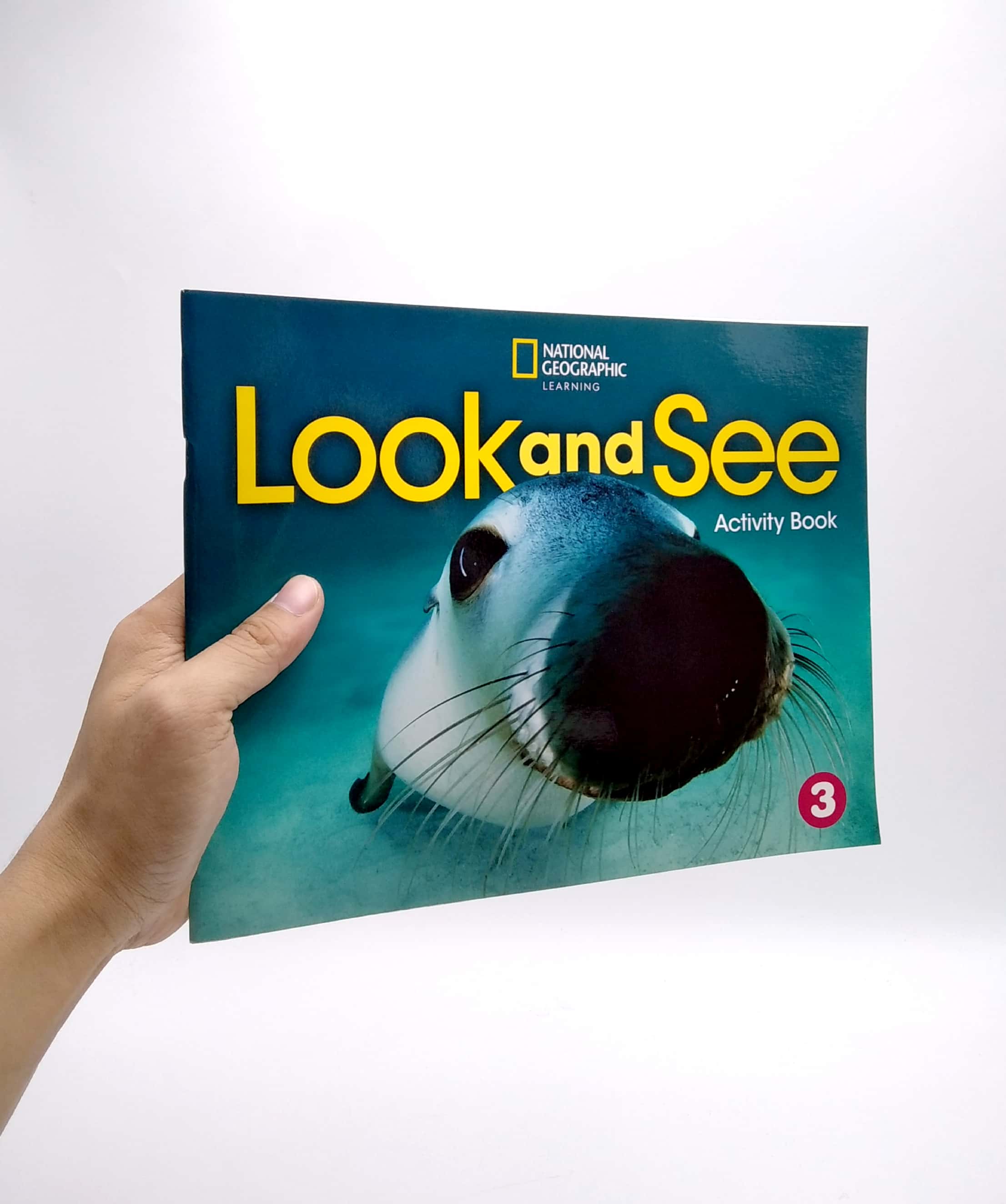 look and see 3: activity book