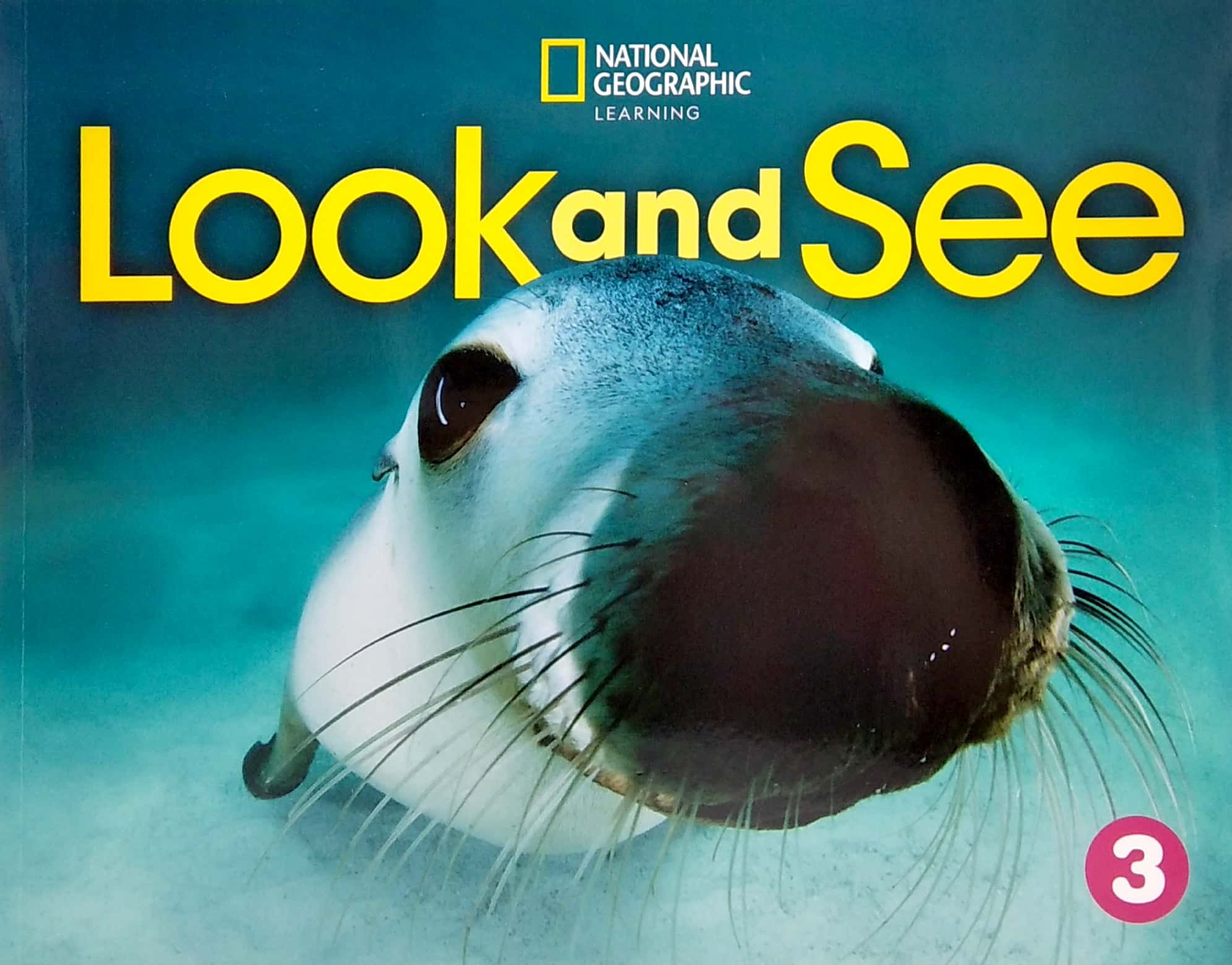 look and see 3: student's book with online practice and studentℹs ebook