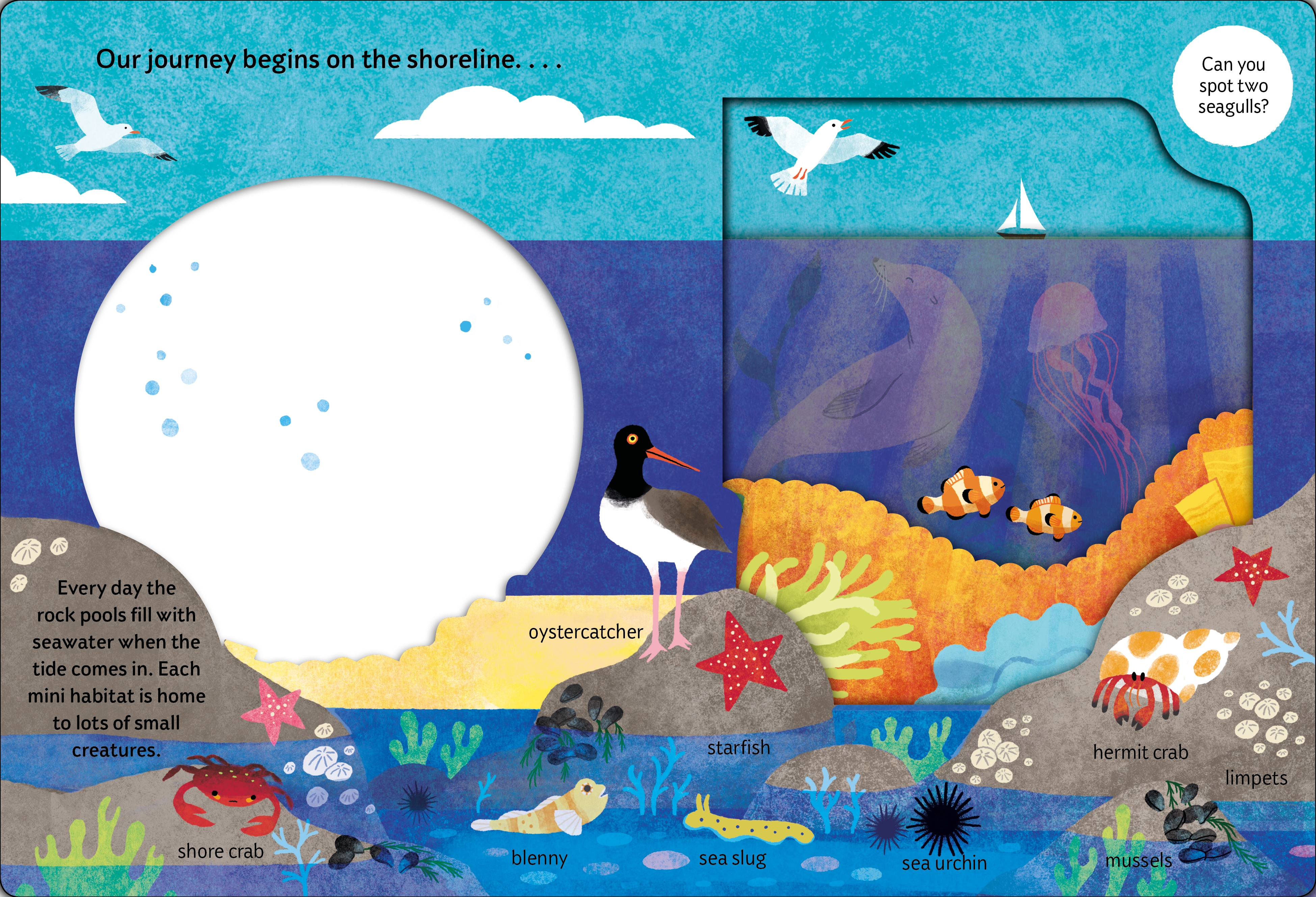 look closer: under the ocean