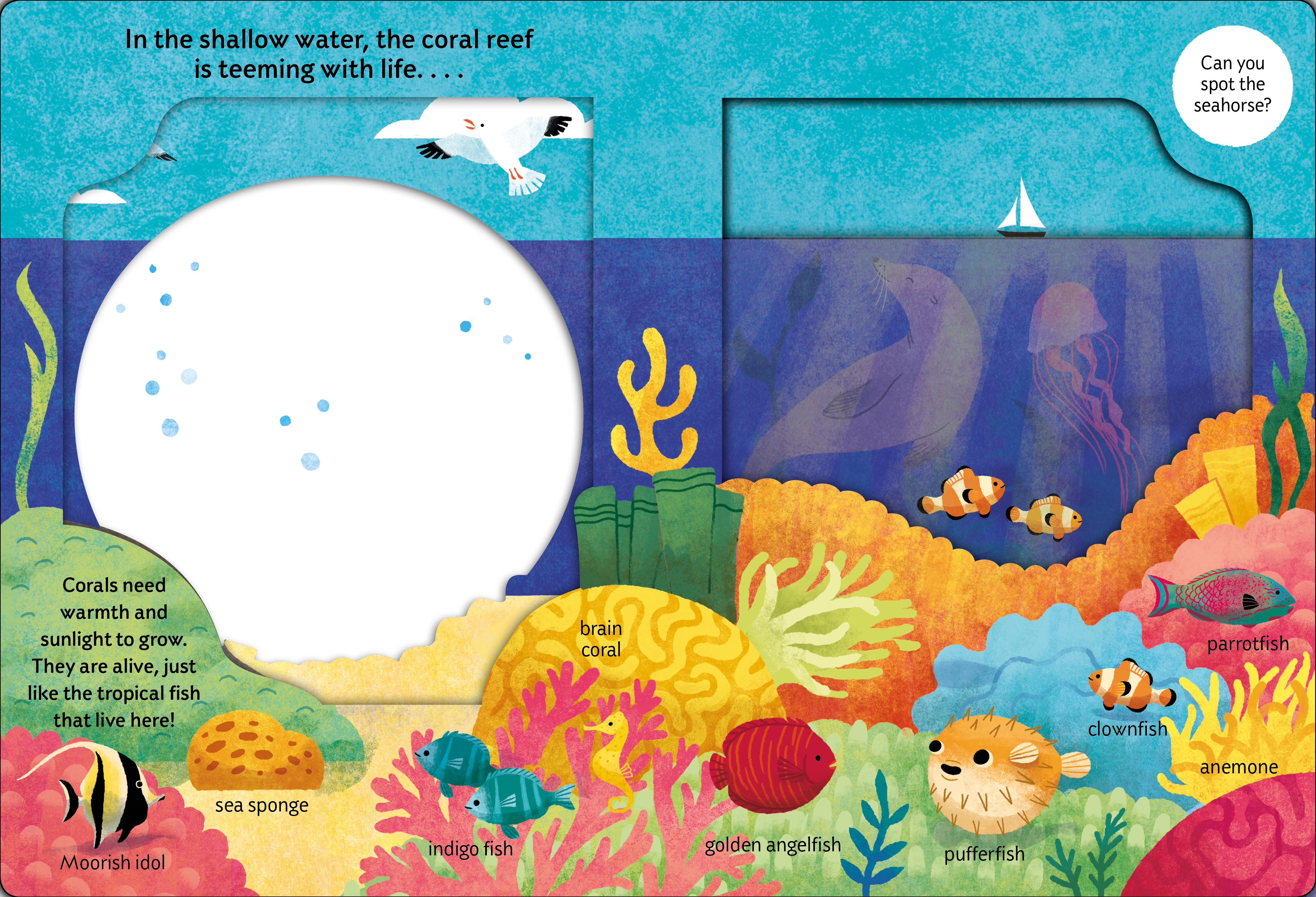 look closer: under the ocean