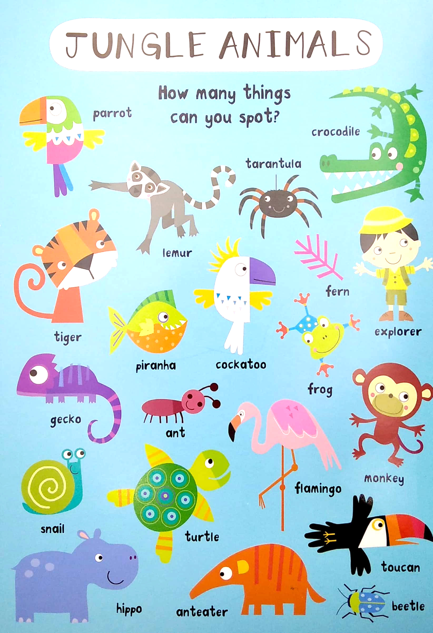 look & find: animals