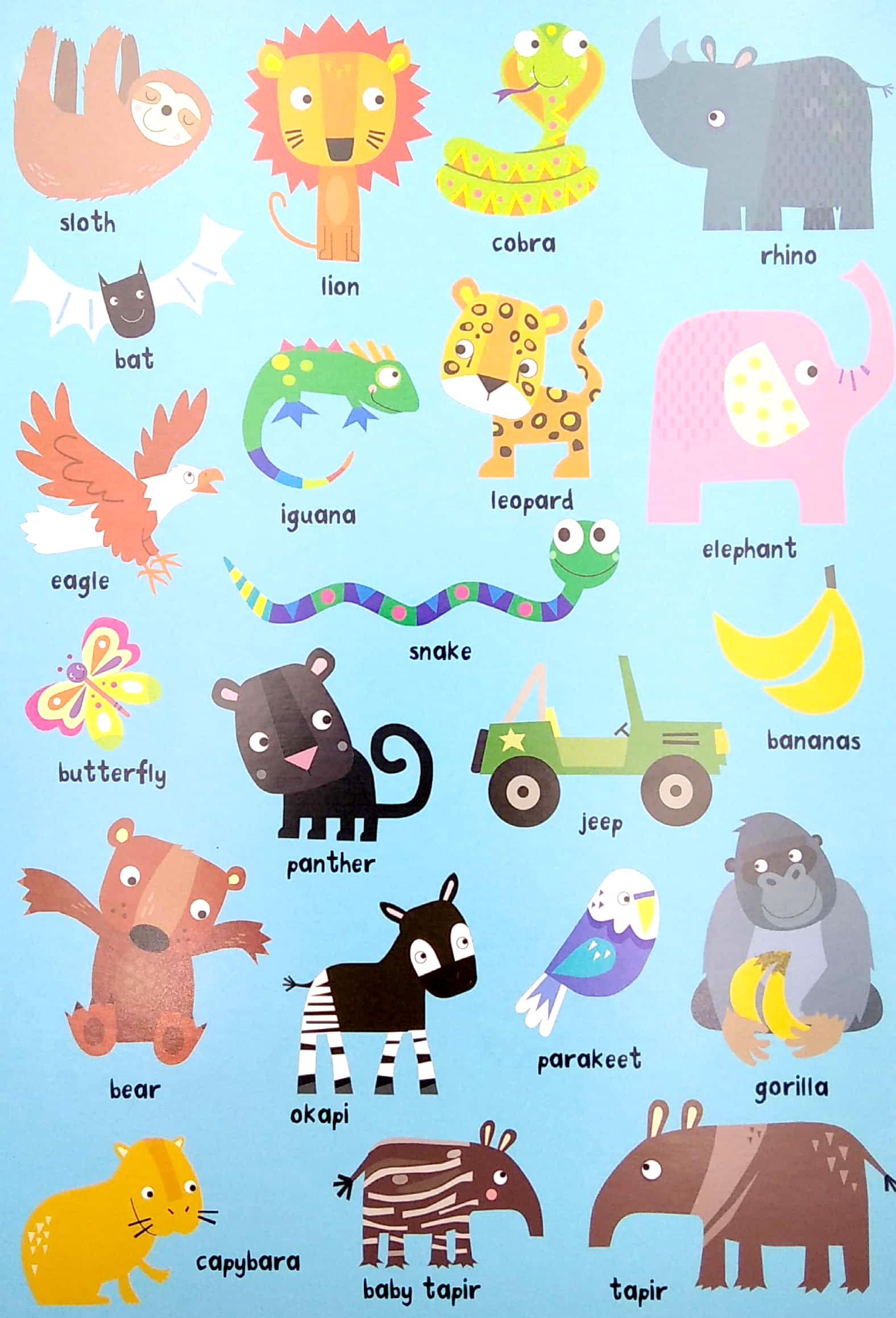 look & find: animals