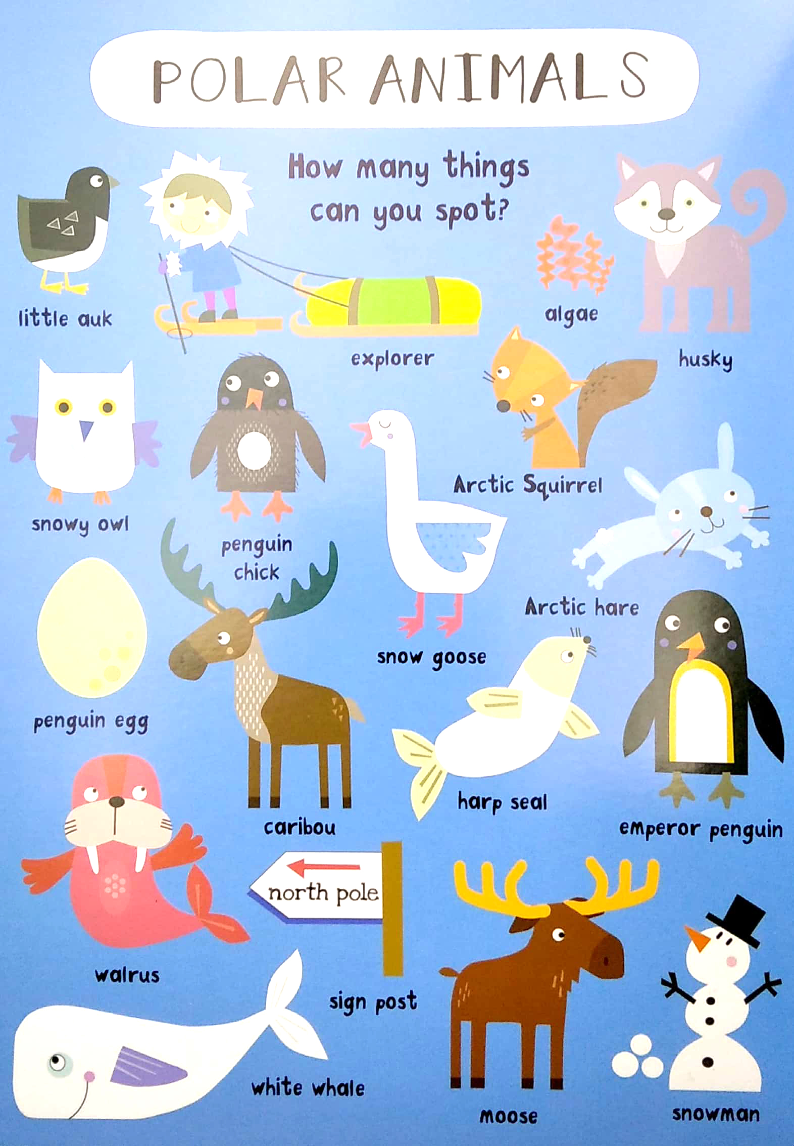 look & find: animals