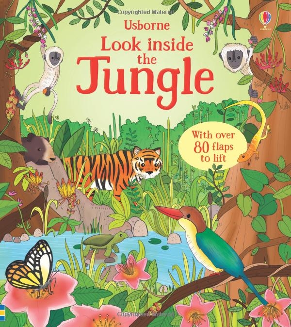 look inside the jungle