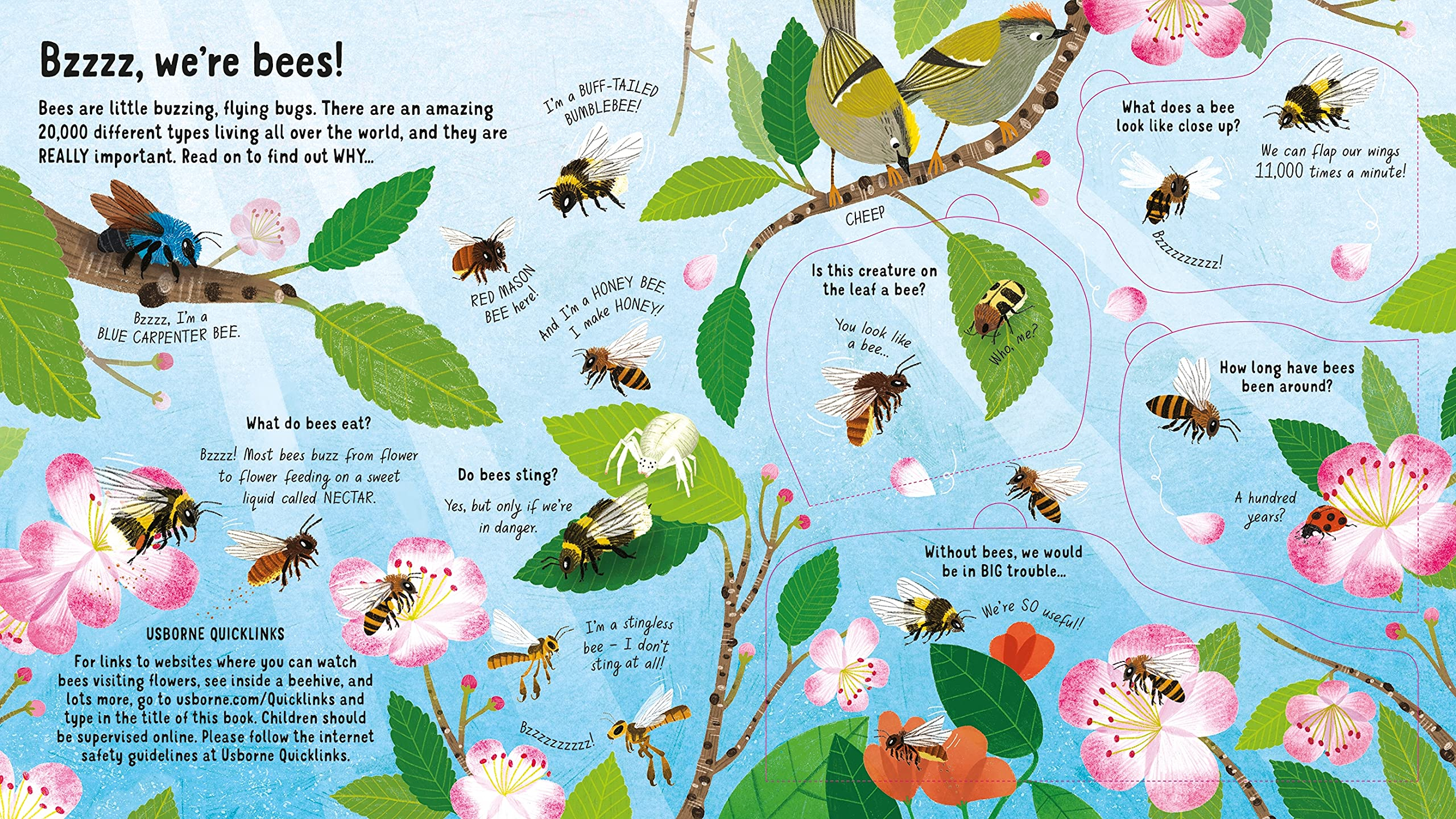 look inside the world of bees