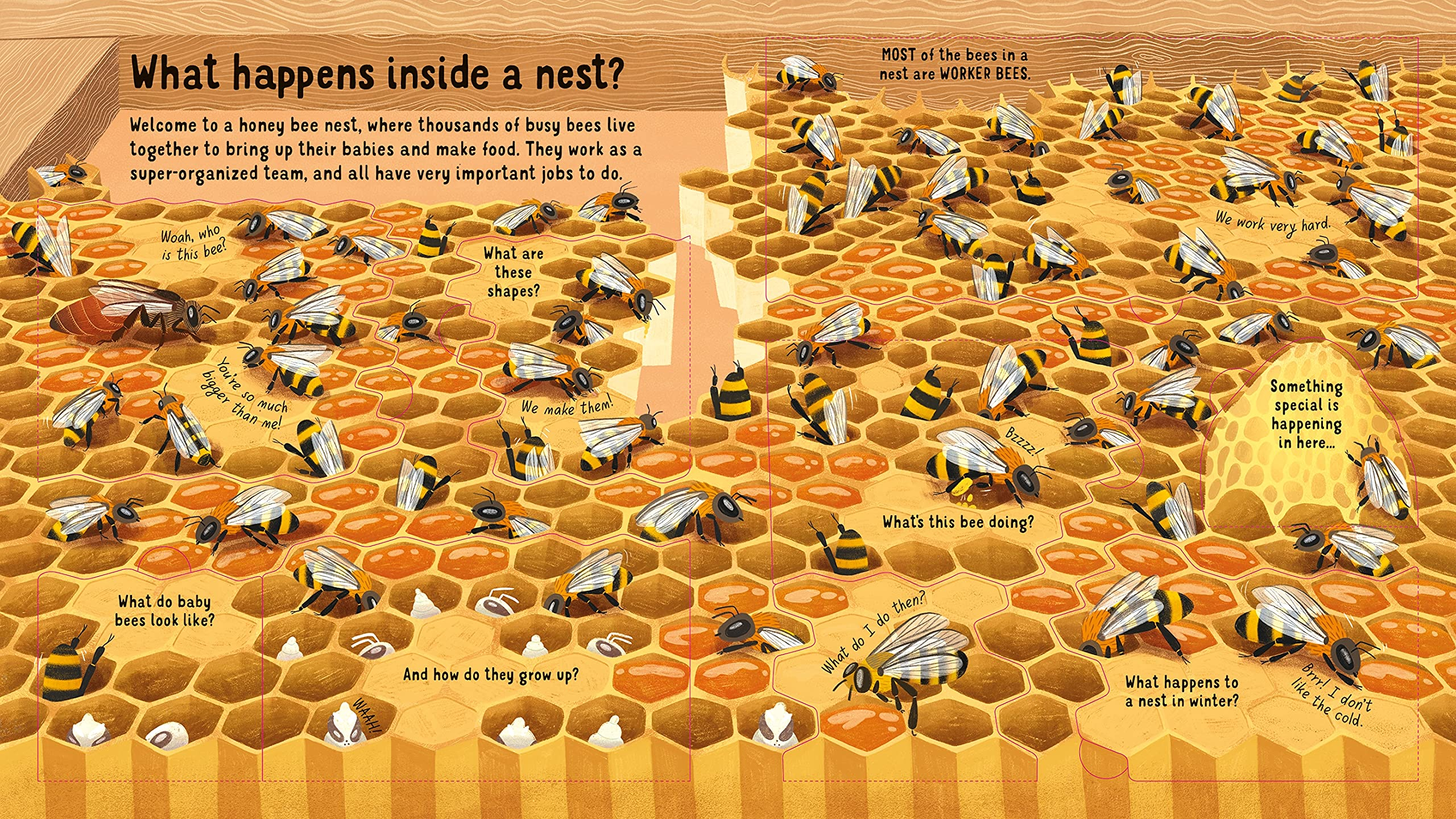 look inside the world of bees