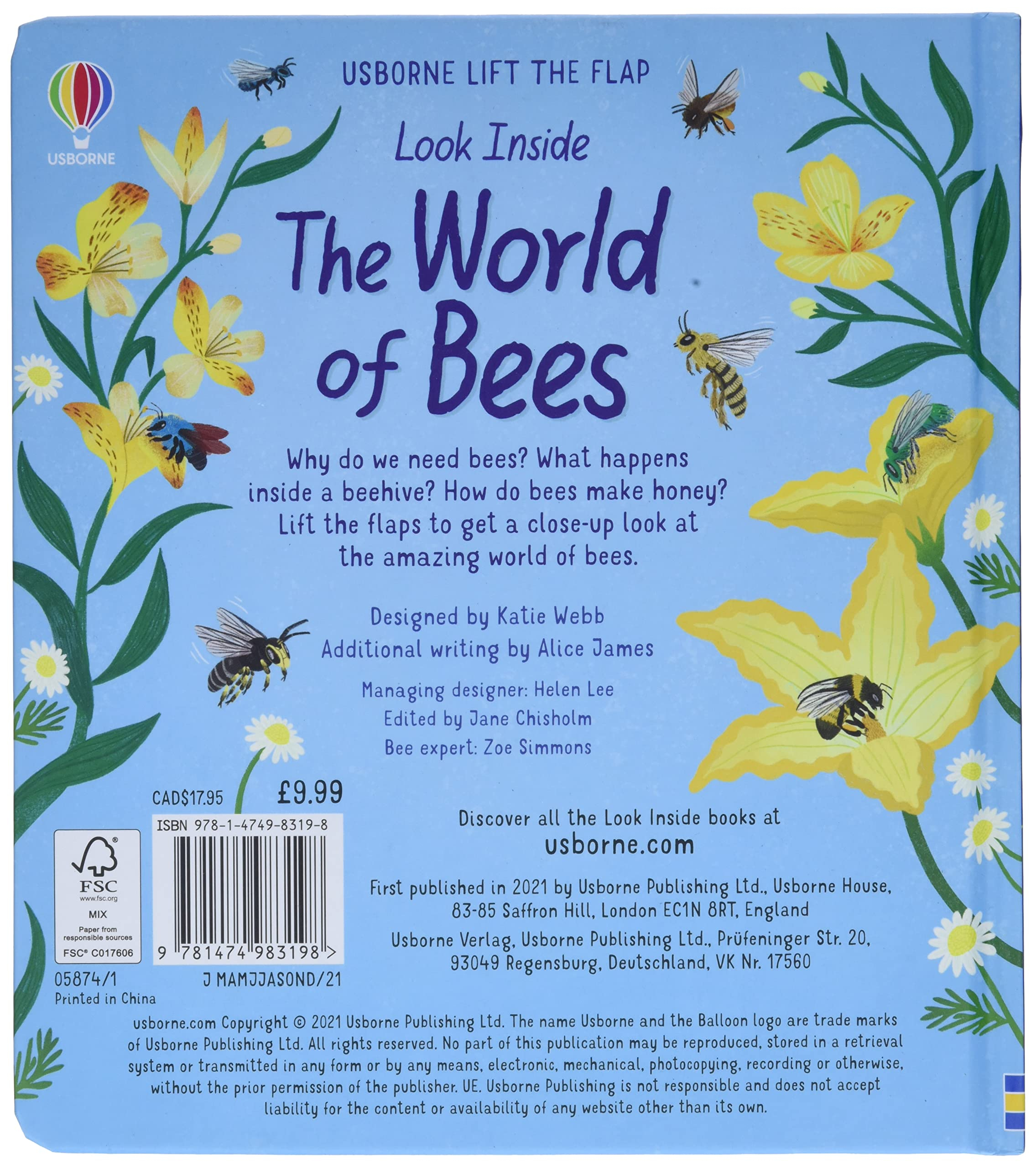 look inside the world of bees
