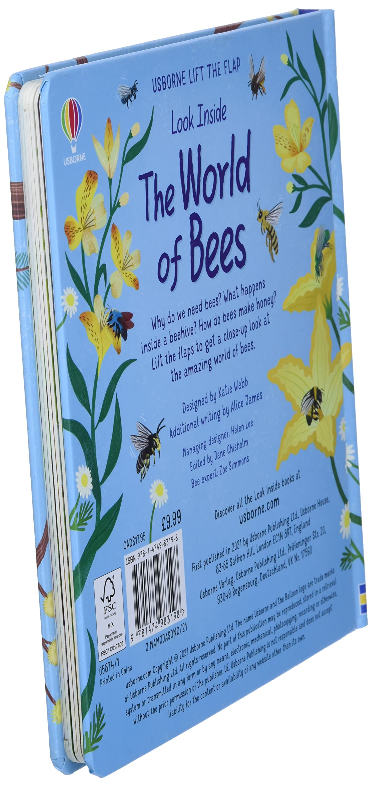 look inside the world of bees