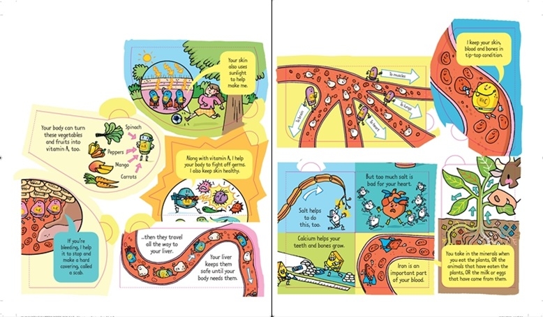 look inside what happens when you eat