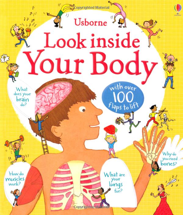look inside: your body