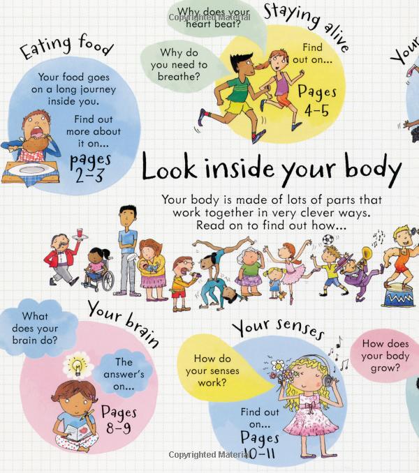 look inside: your body