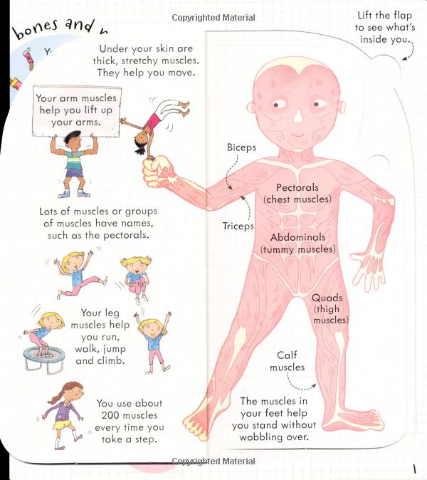 look inside: your body