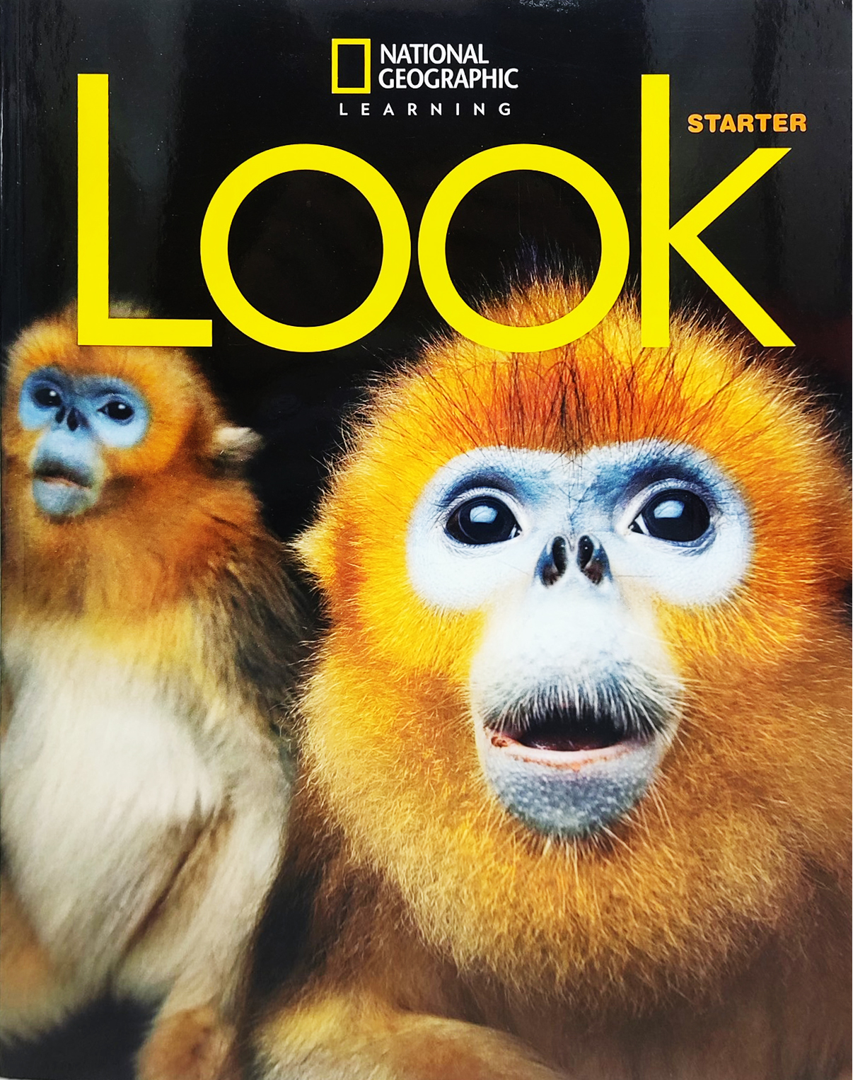 look starter british english student book