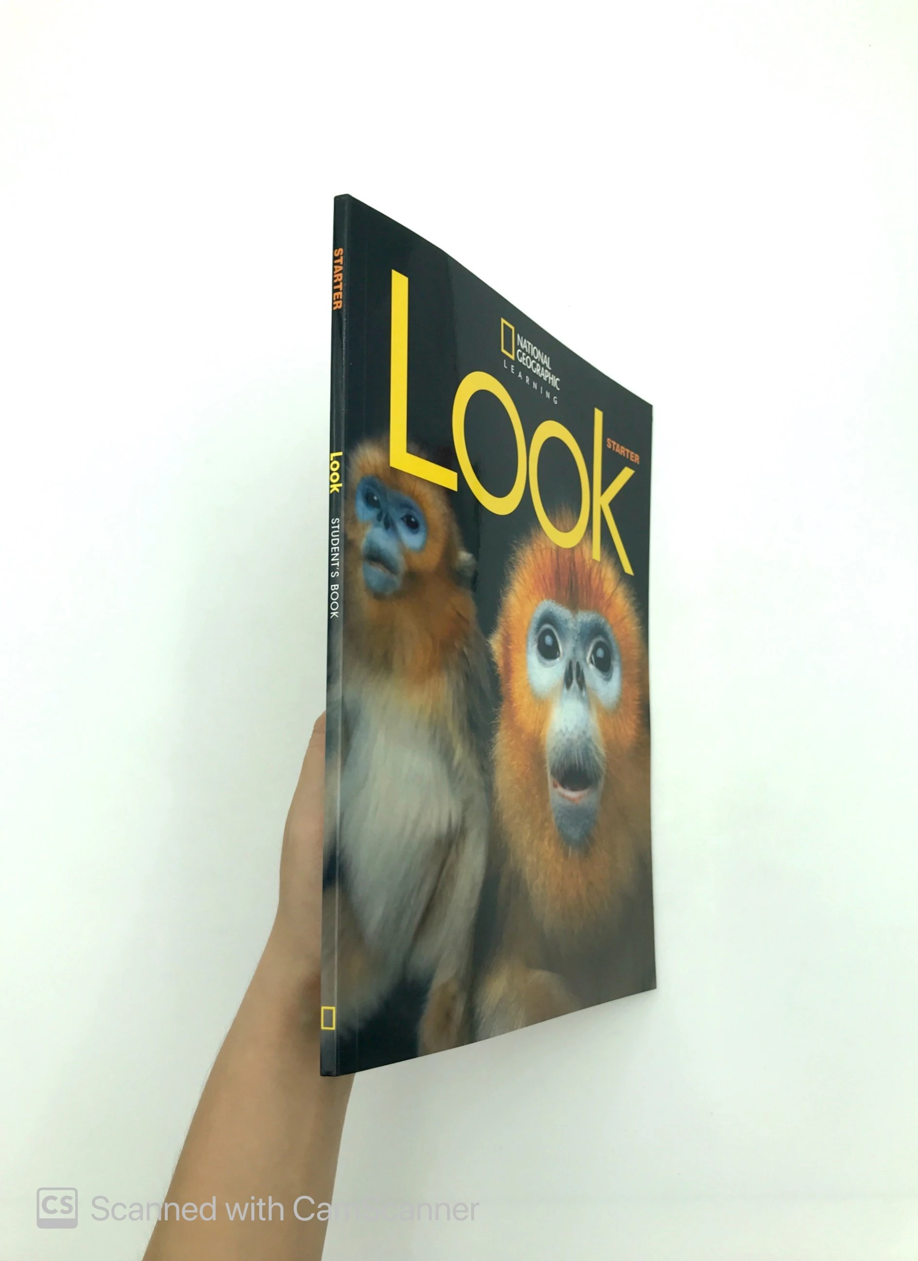 look starter (look, american english) student book