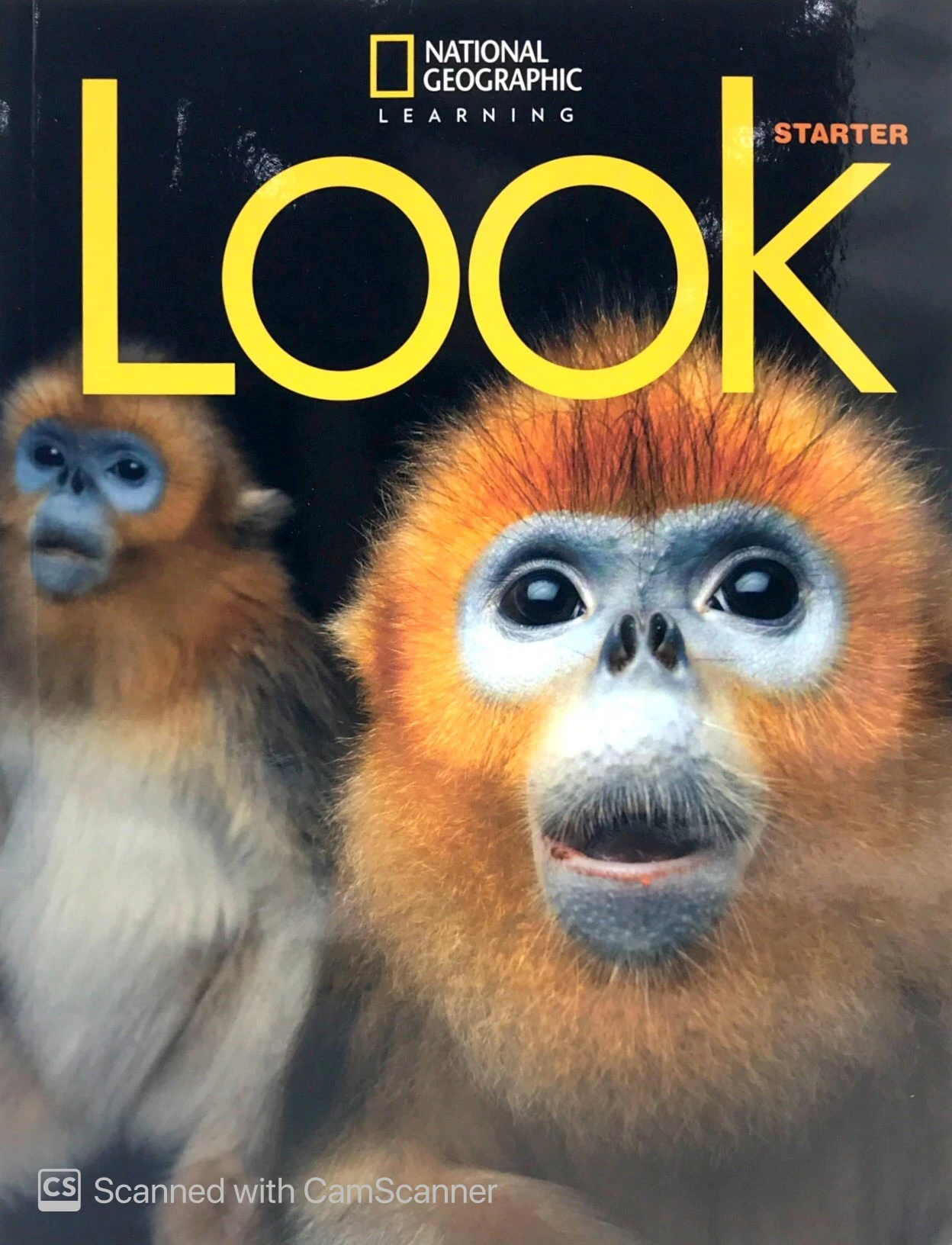 look starter (look, american english) student book