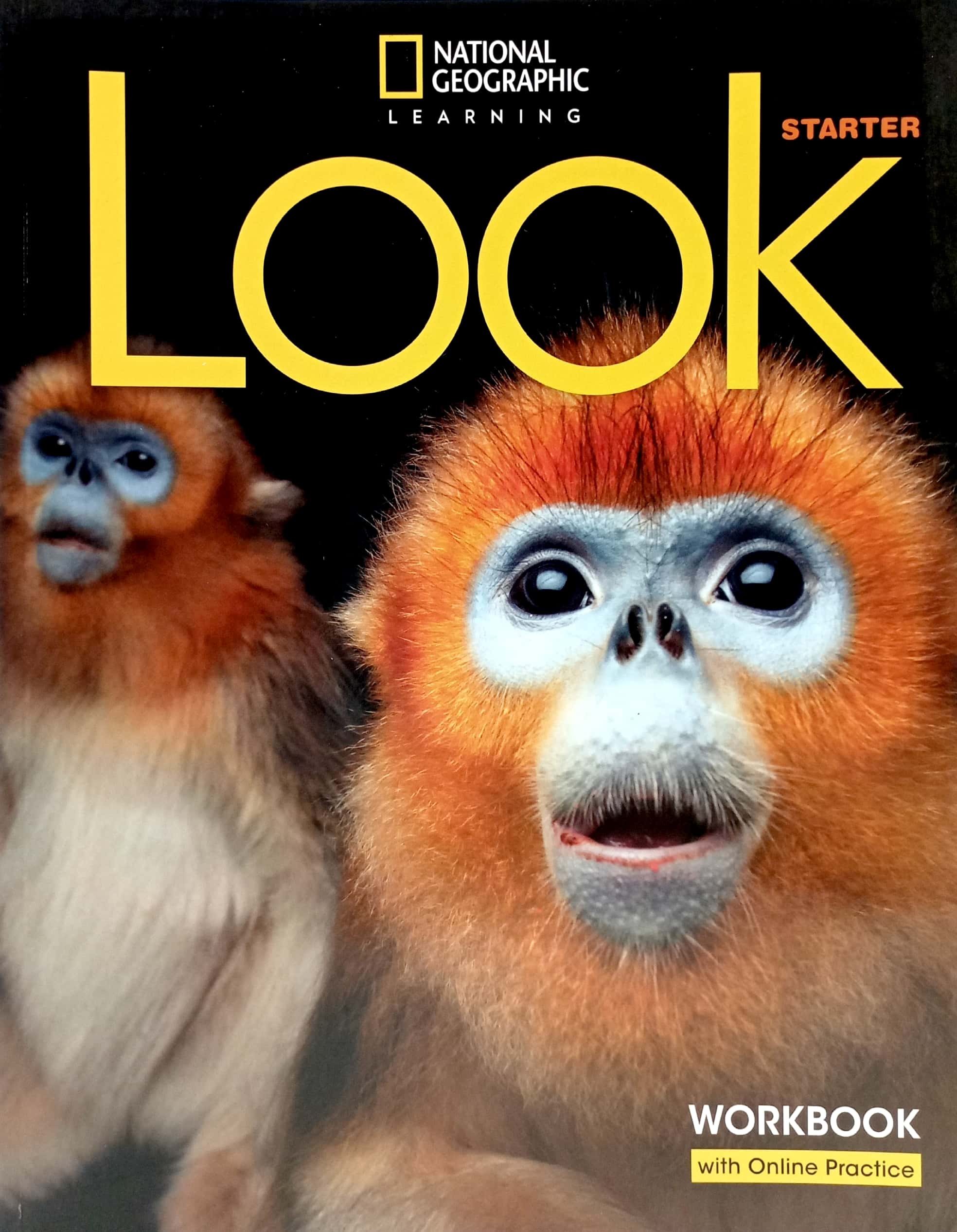 look starter: workbook with online practice