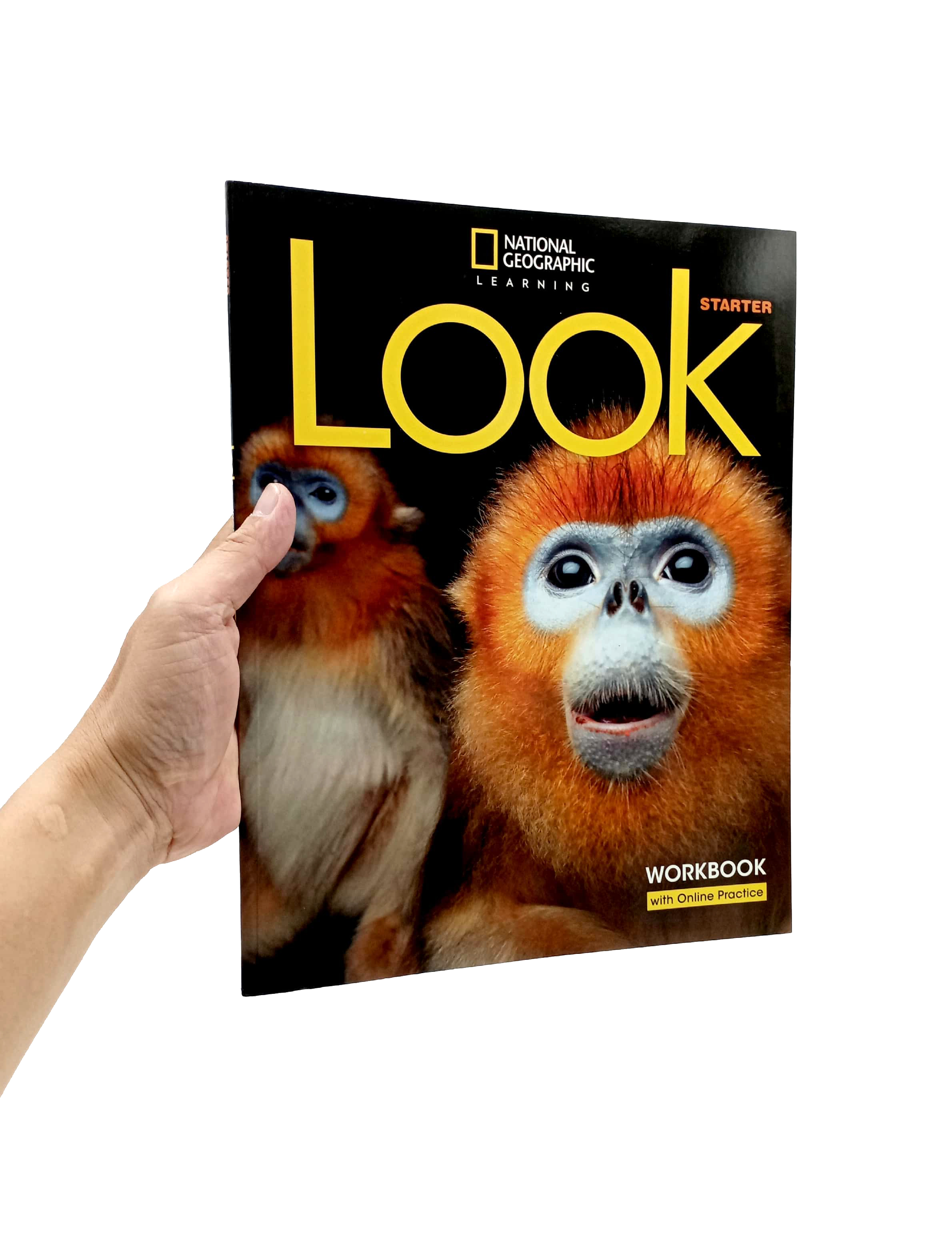 look starter: workbook with online practice