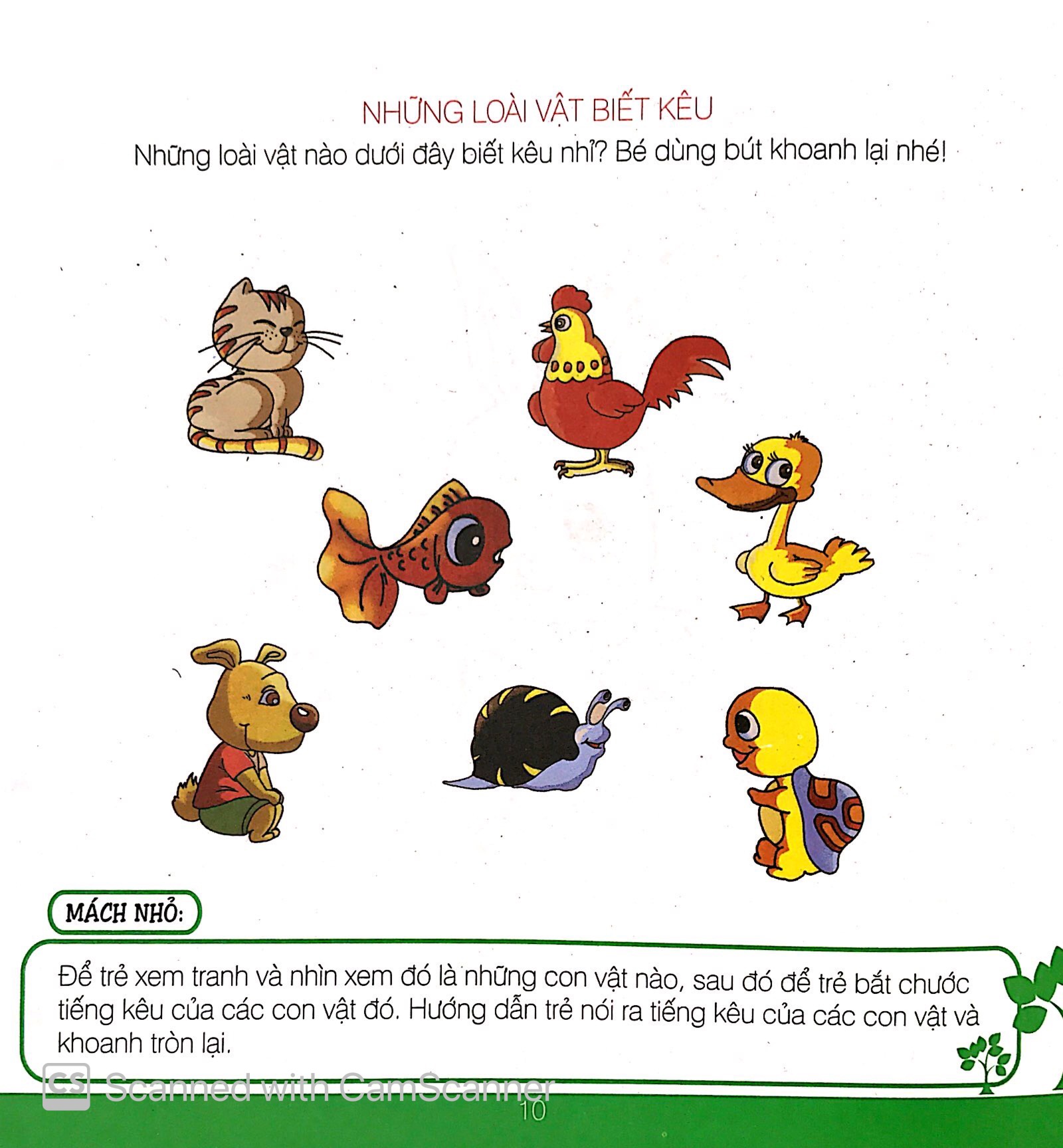 lớp học gia đình (3 tuổi)