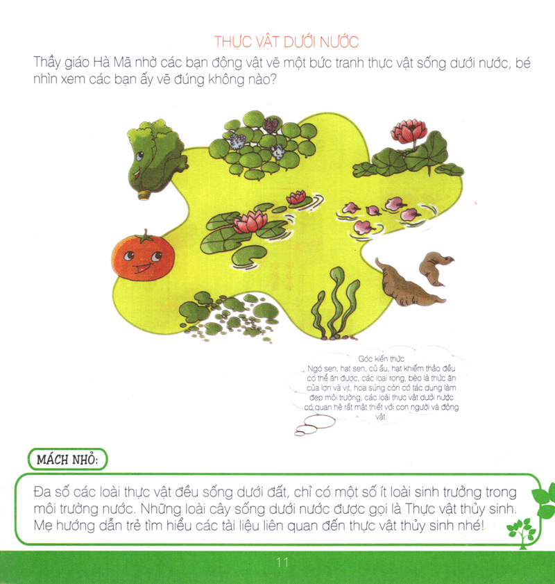 lớp học gia đình (6 tuổi)