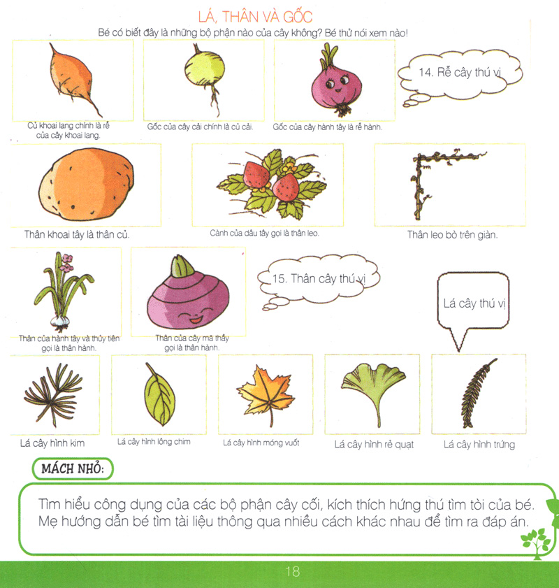 lớp học gia đình (6 tuổi)