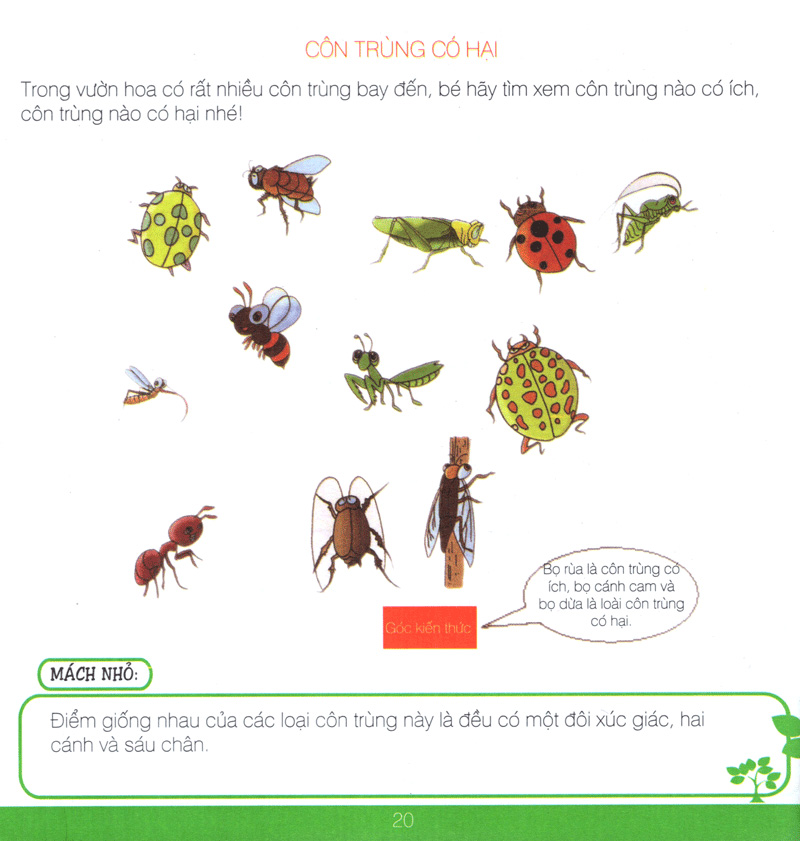 lớp học gia đình (6 tuổi)