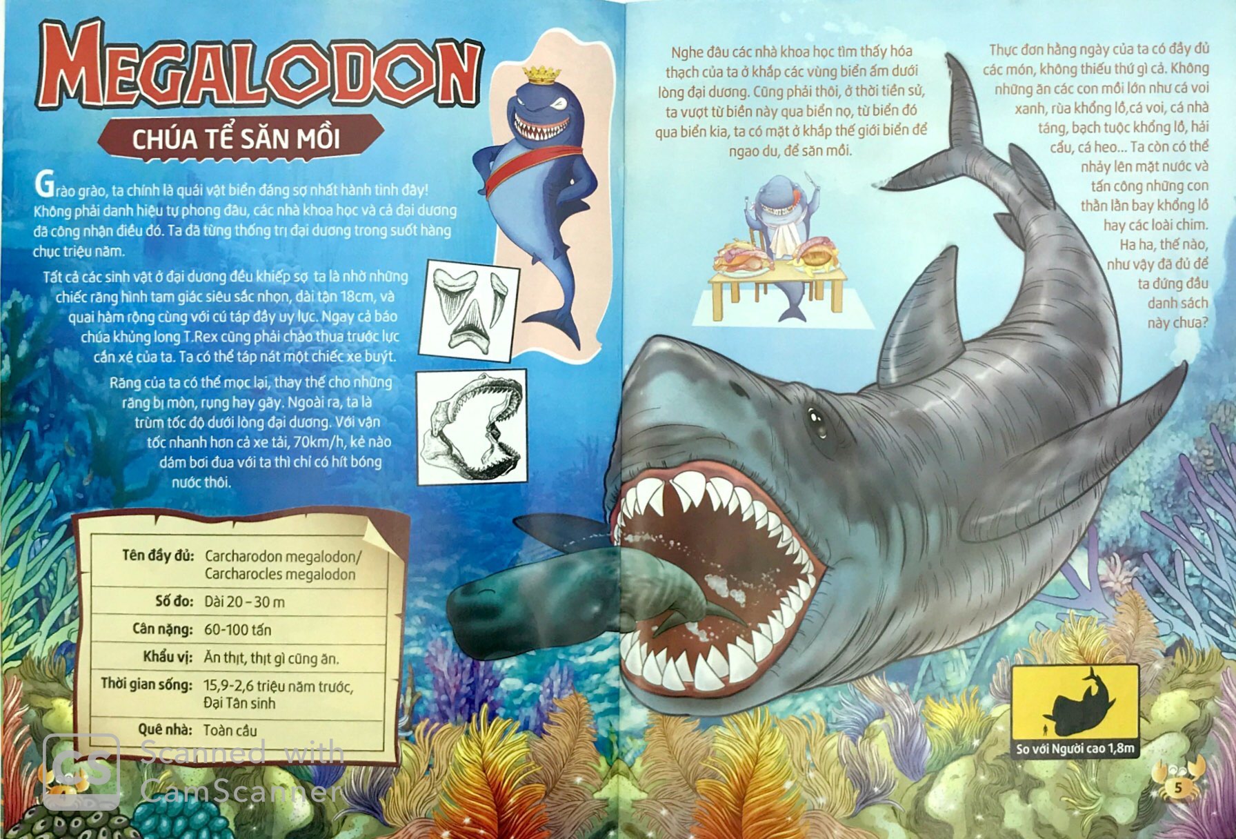 lớp học thời tiền sử - sát thủ đại dương