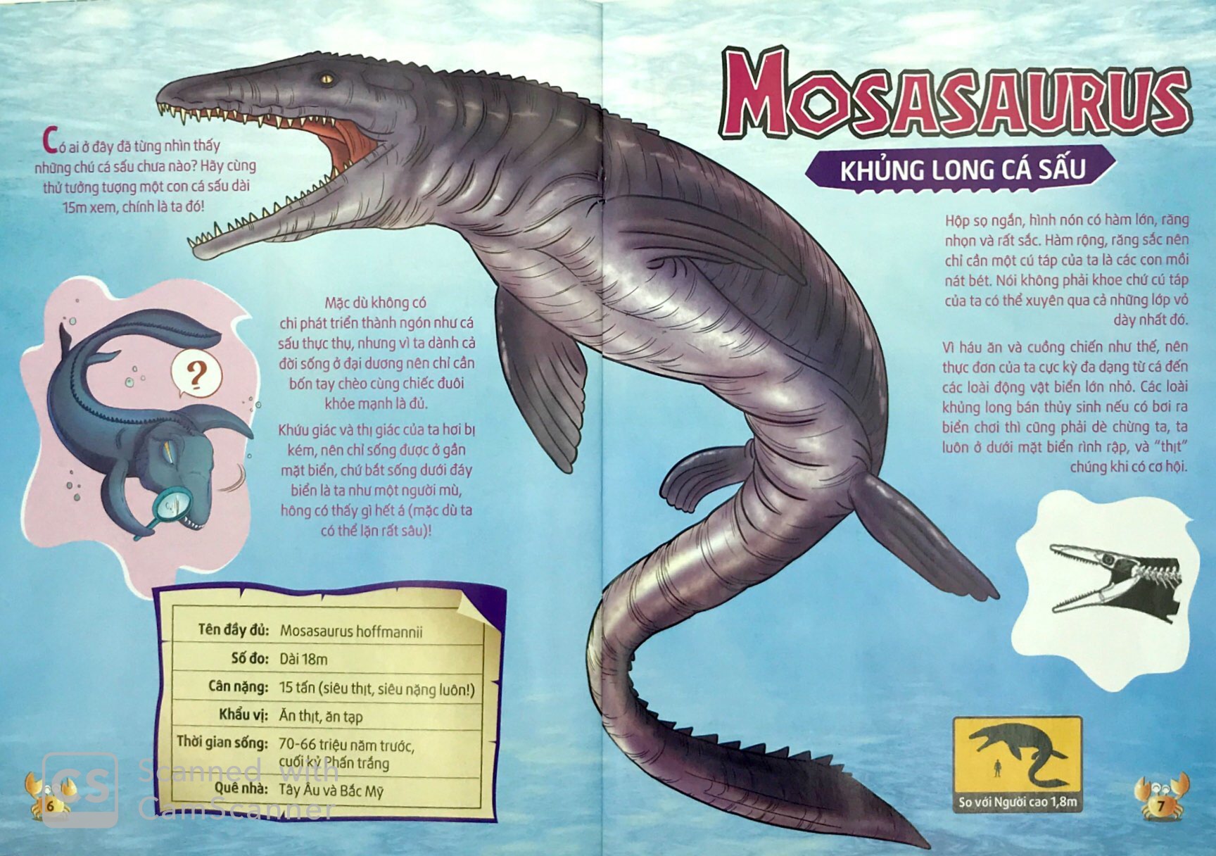 lớp học thời tiền sử - sát thủ đại dương