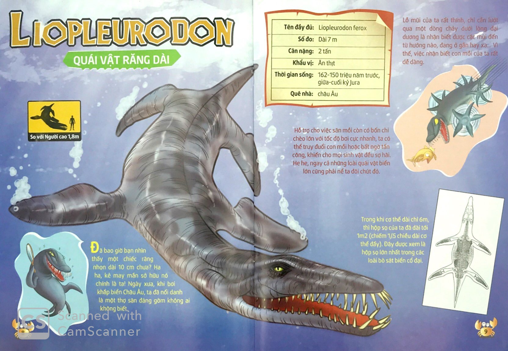 lớp học thời tiền sử - sát thủ đại dương