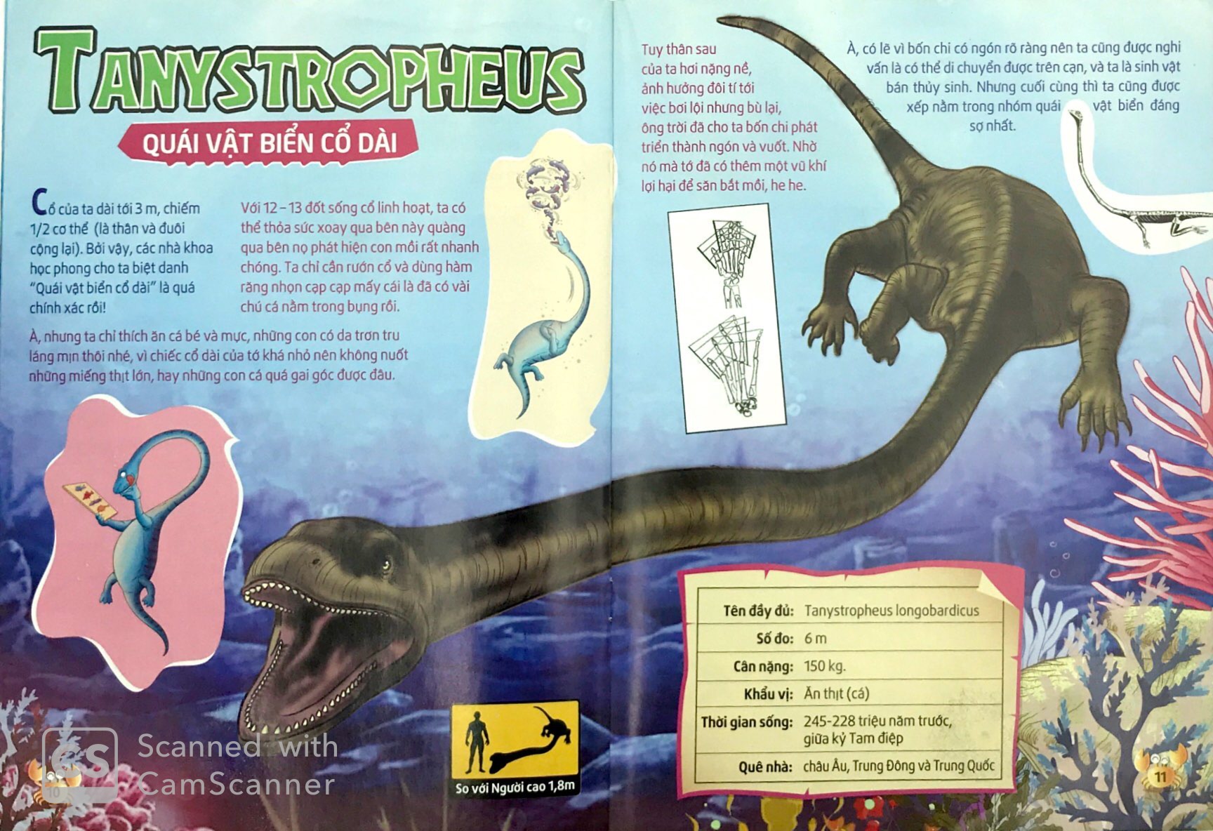 lớp học thời tiền sử - sát thủ đại dương