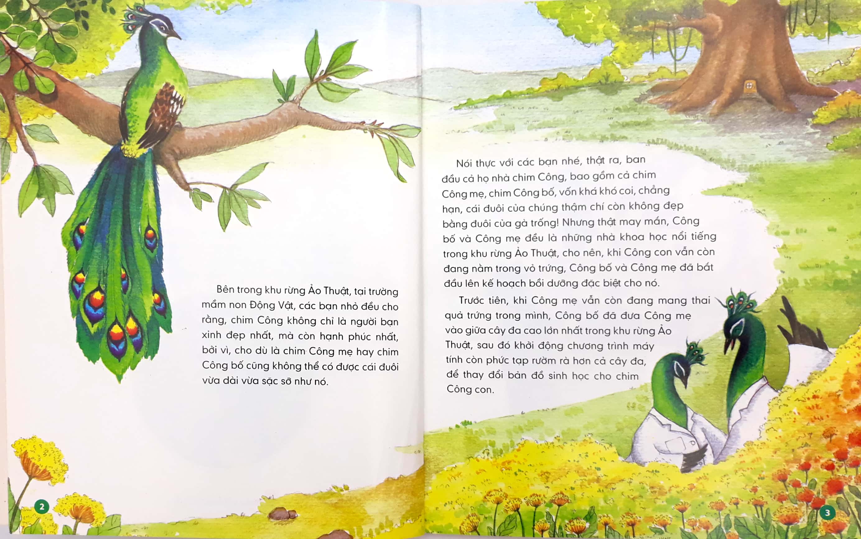 Lop Hoc Tren Can - Chim Cong Dom Dang