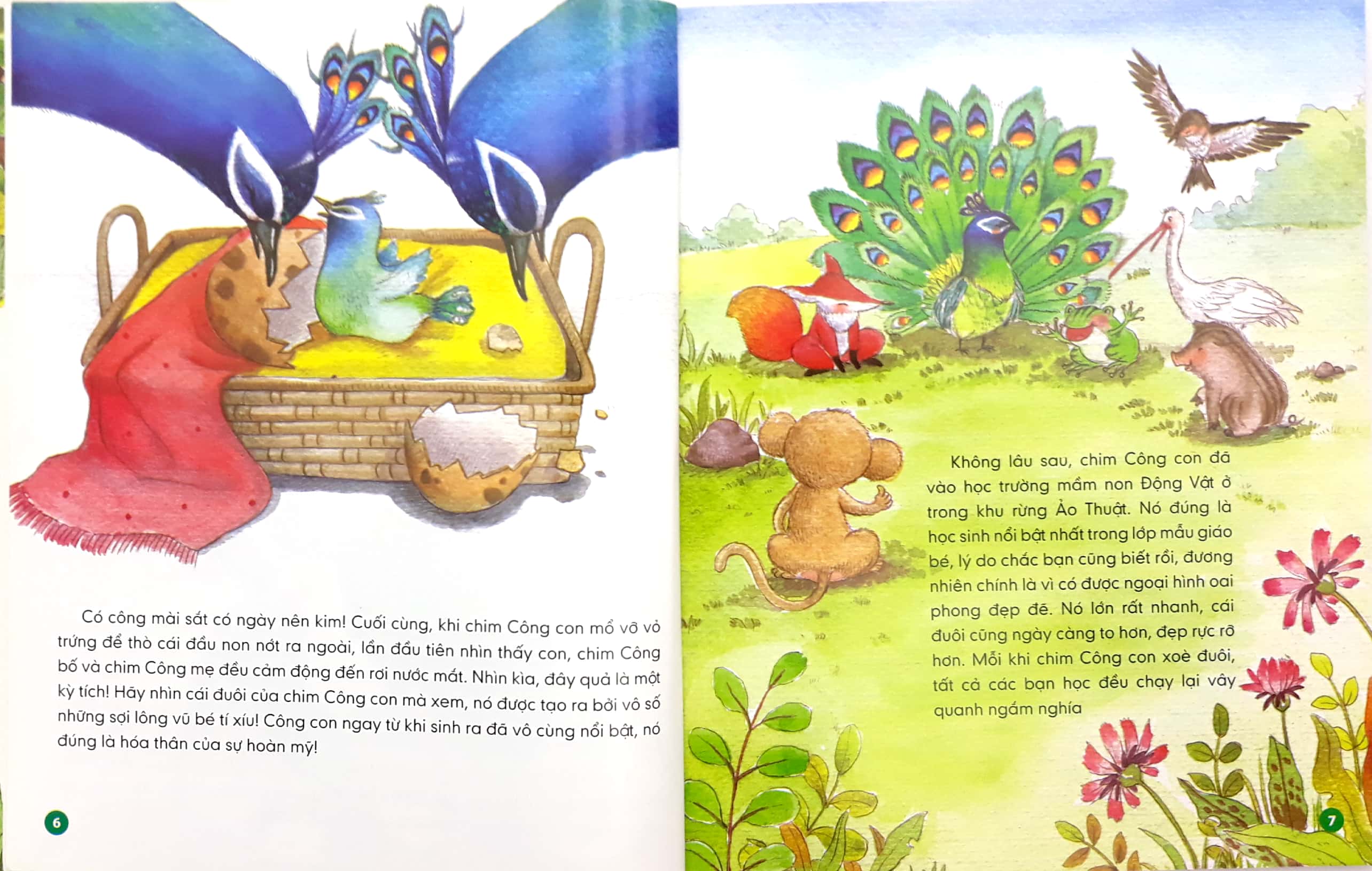 Lop Hoc Tren Can - Chim Cong Dom Dang