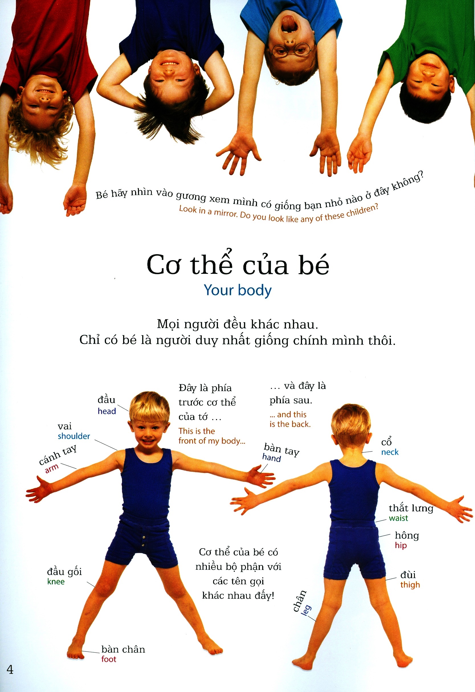 lớp học vui về cơ thể - my body