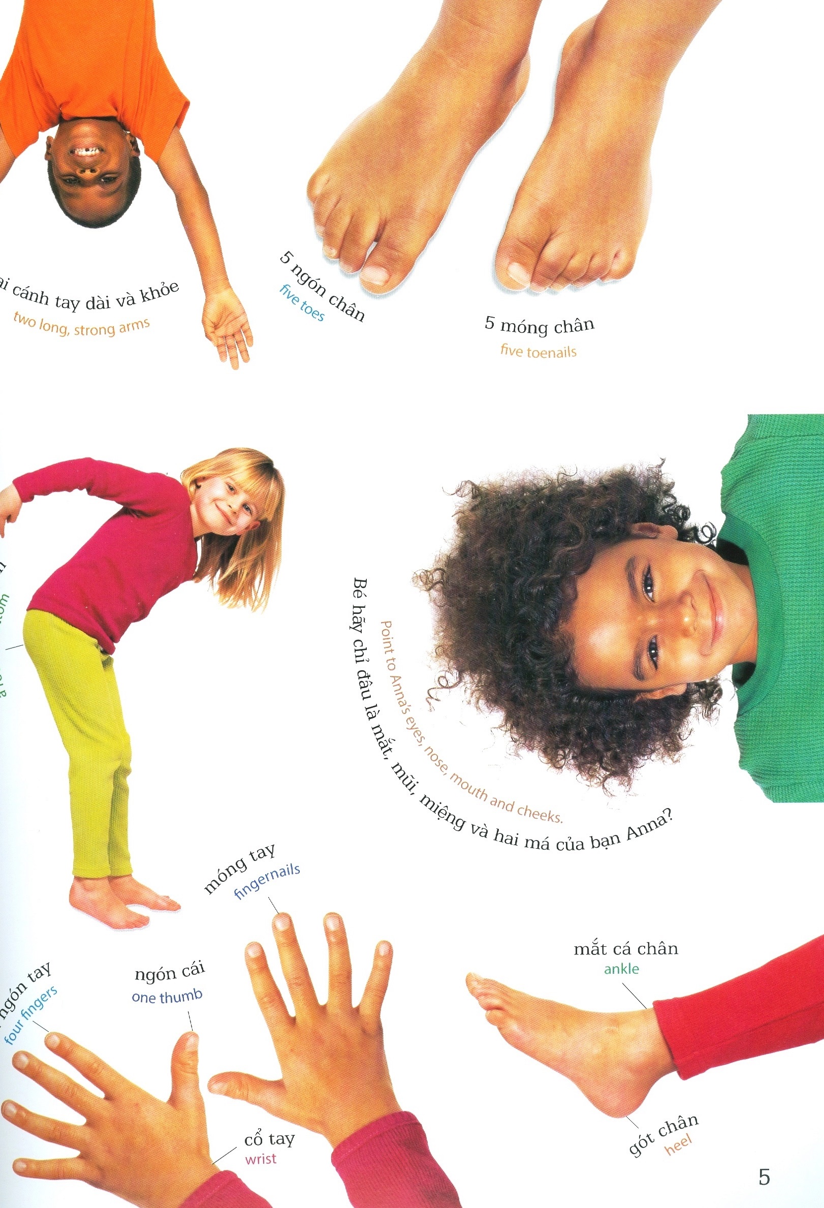 lớp học vui về cơ thể - my body