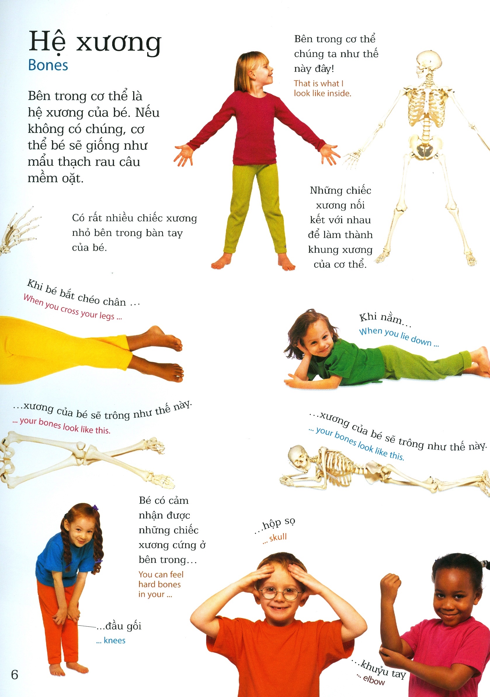 lớp học vui về cơ thể - my body