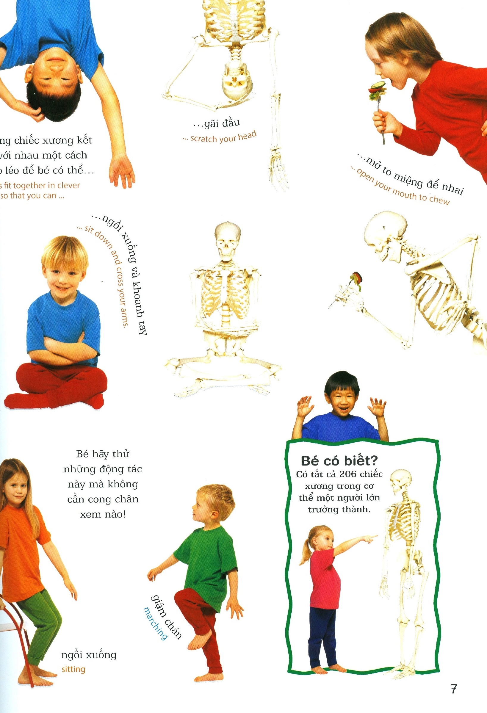 lớp học vui về cơ thể - my body