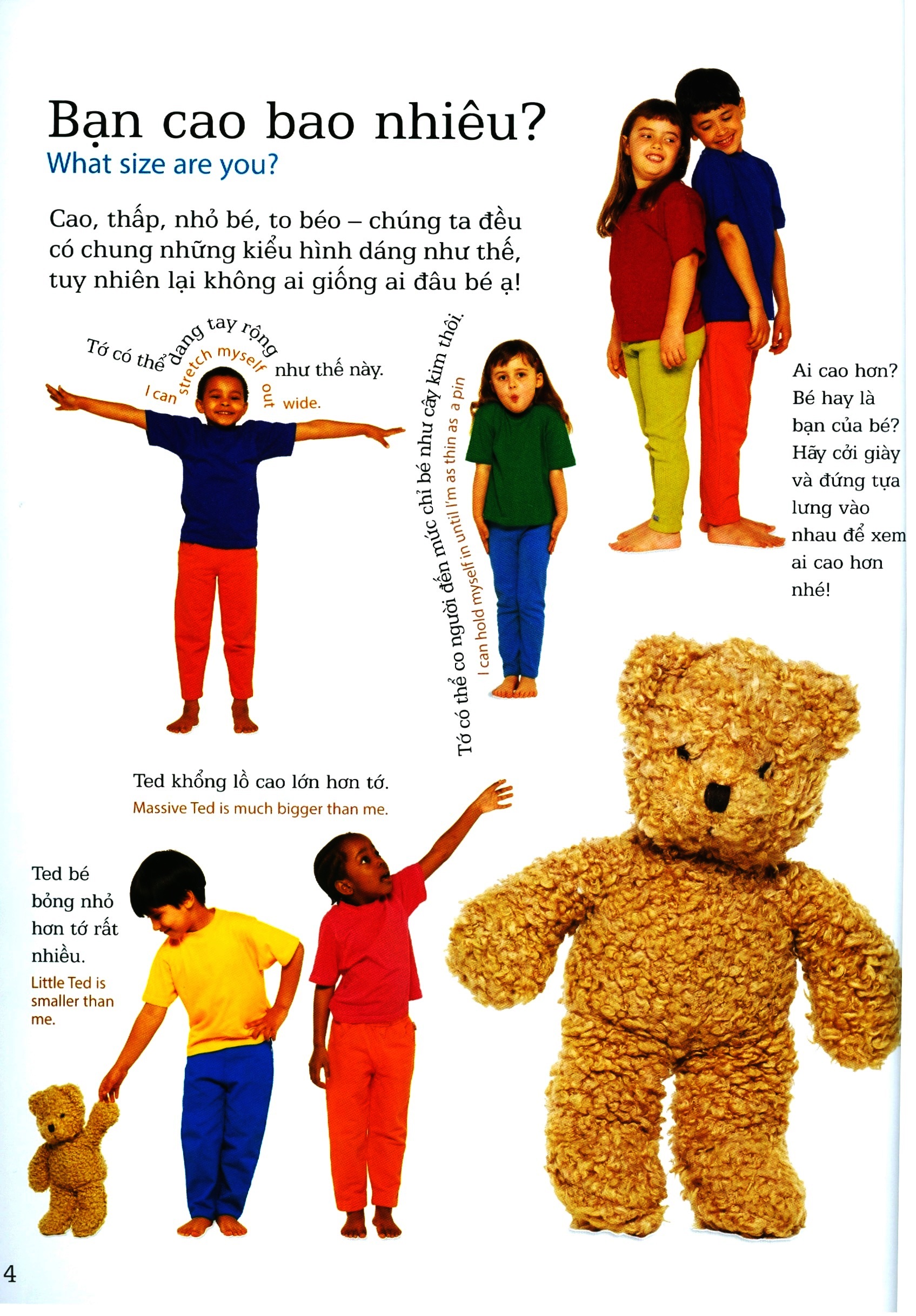 lớp học vui về kích thước - sizes