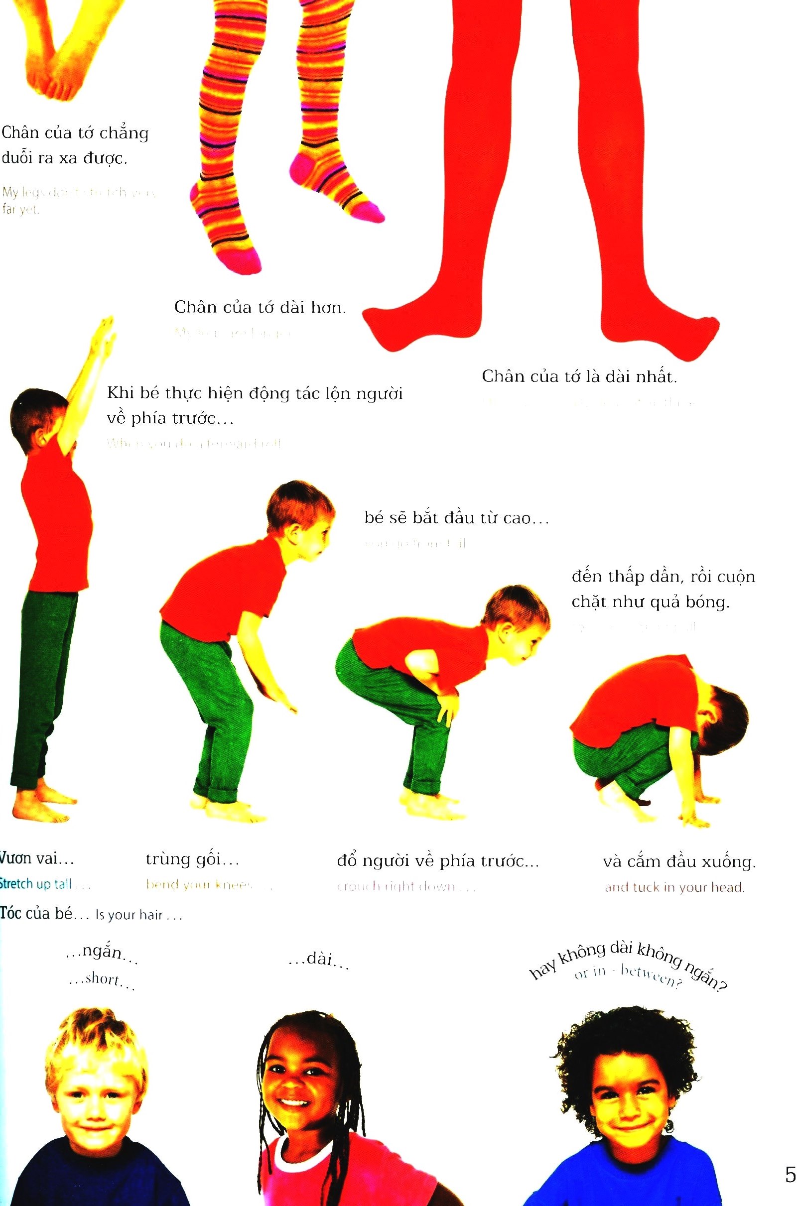 lớp học vui về kích thước - sizes