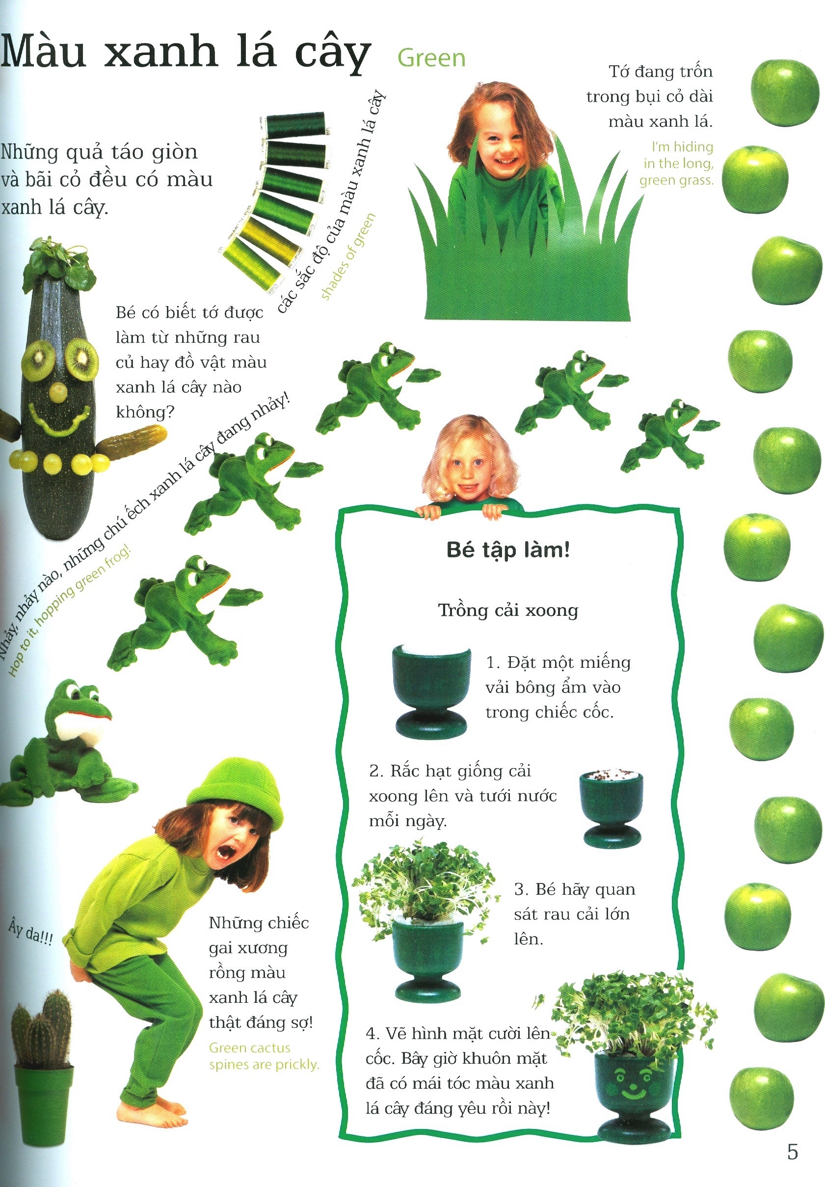 lớp học vui về màu sắc - colours