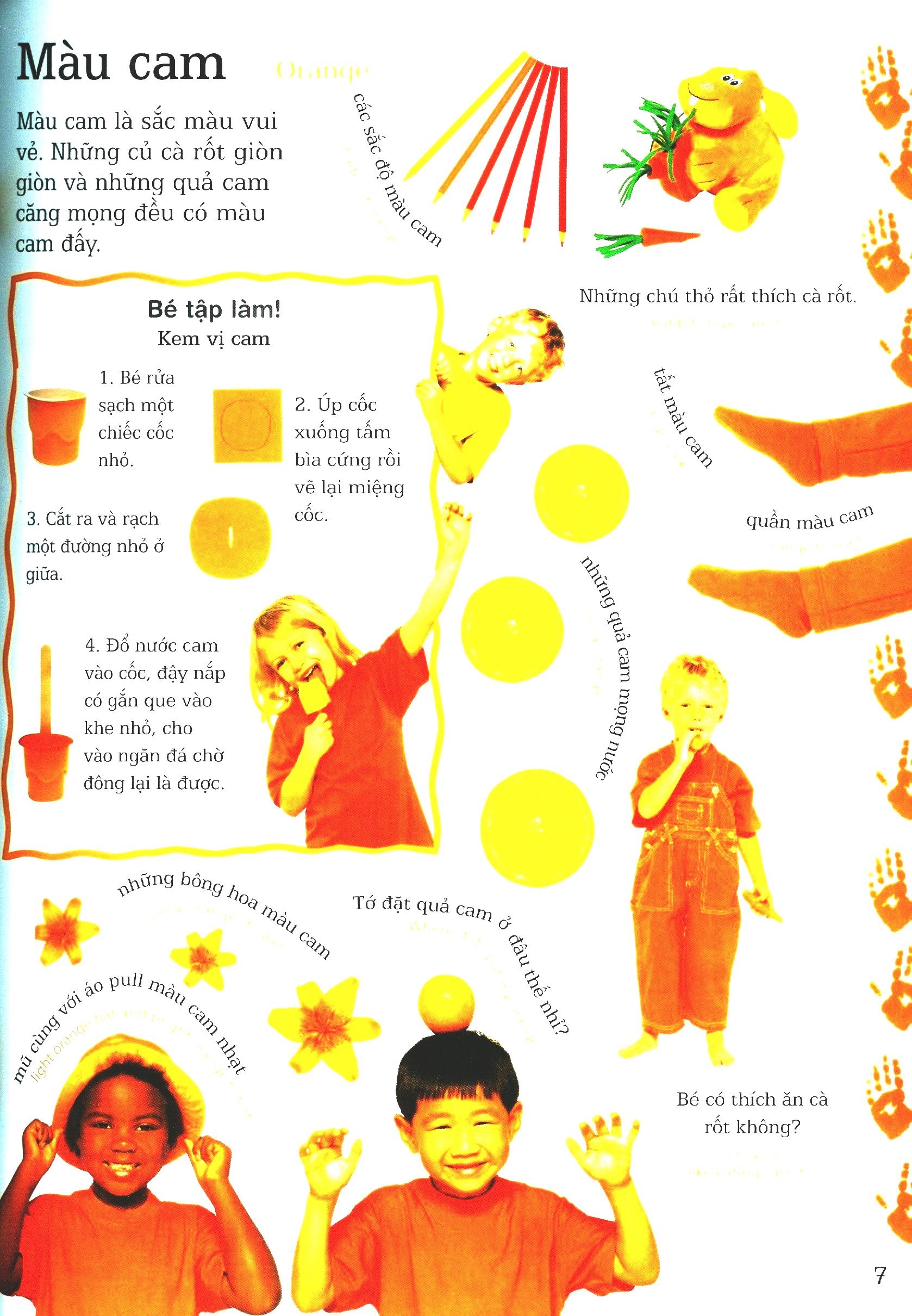 lớp học vui về màu sắc - colours