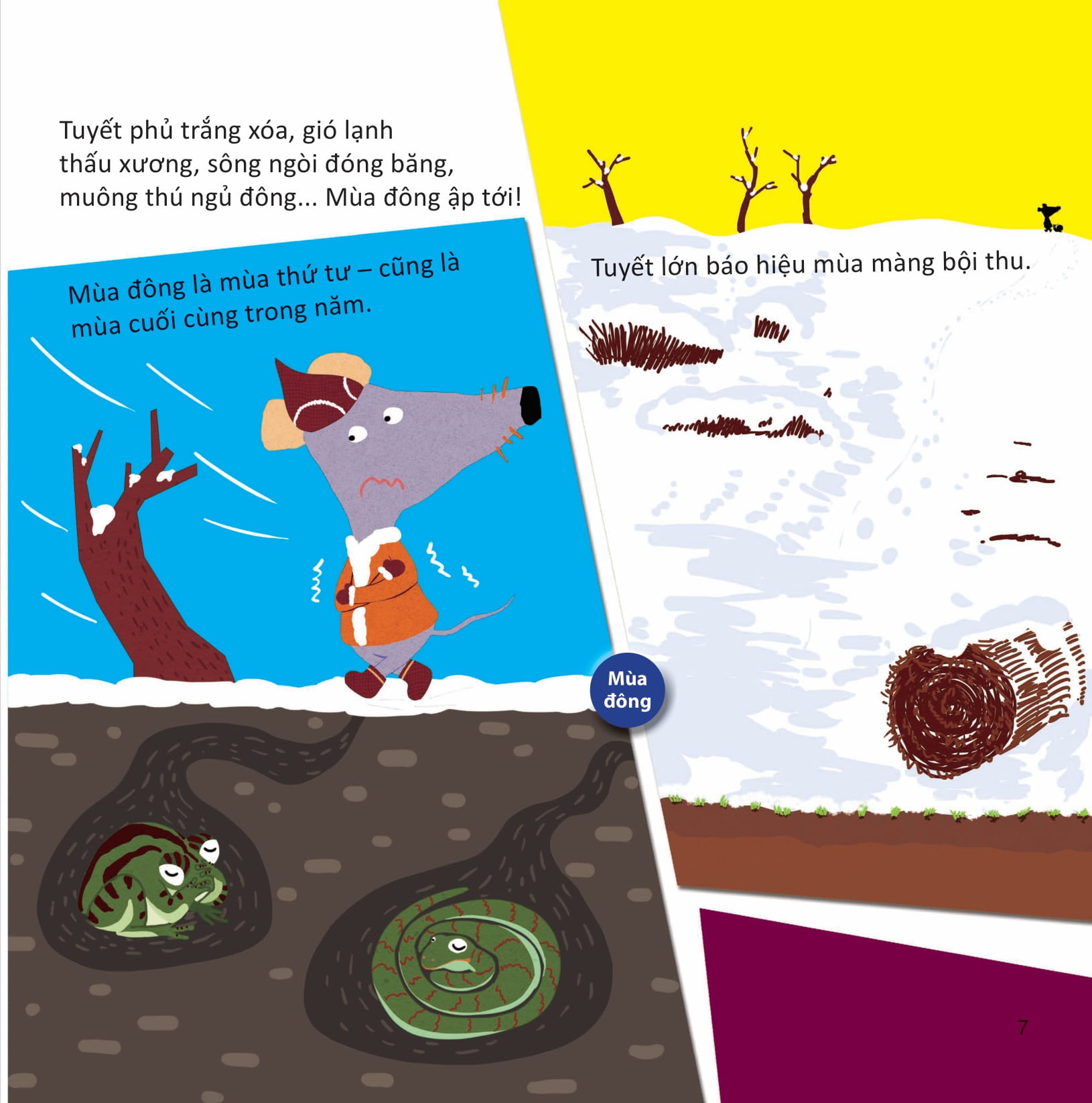 lớp khoa học vỡ lòng - tìm hiểu hiện tượng tự nhiên