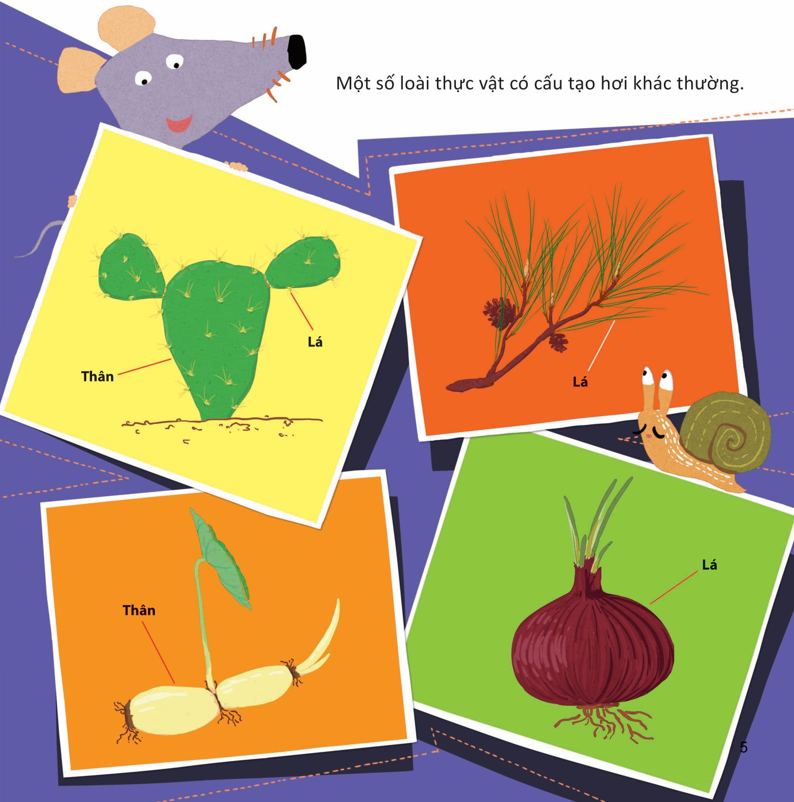 lớp khoa học vỡ lòng - tìm hiểu thực vật