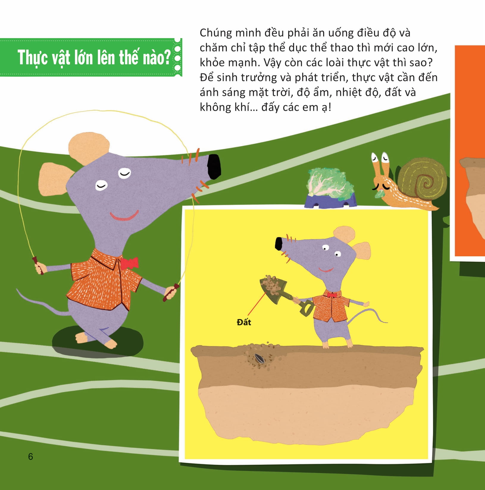 lớp khoa học vỡ lòng - tìm hiểu thực vật