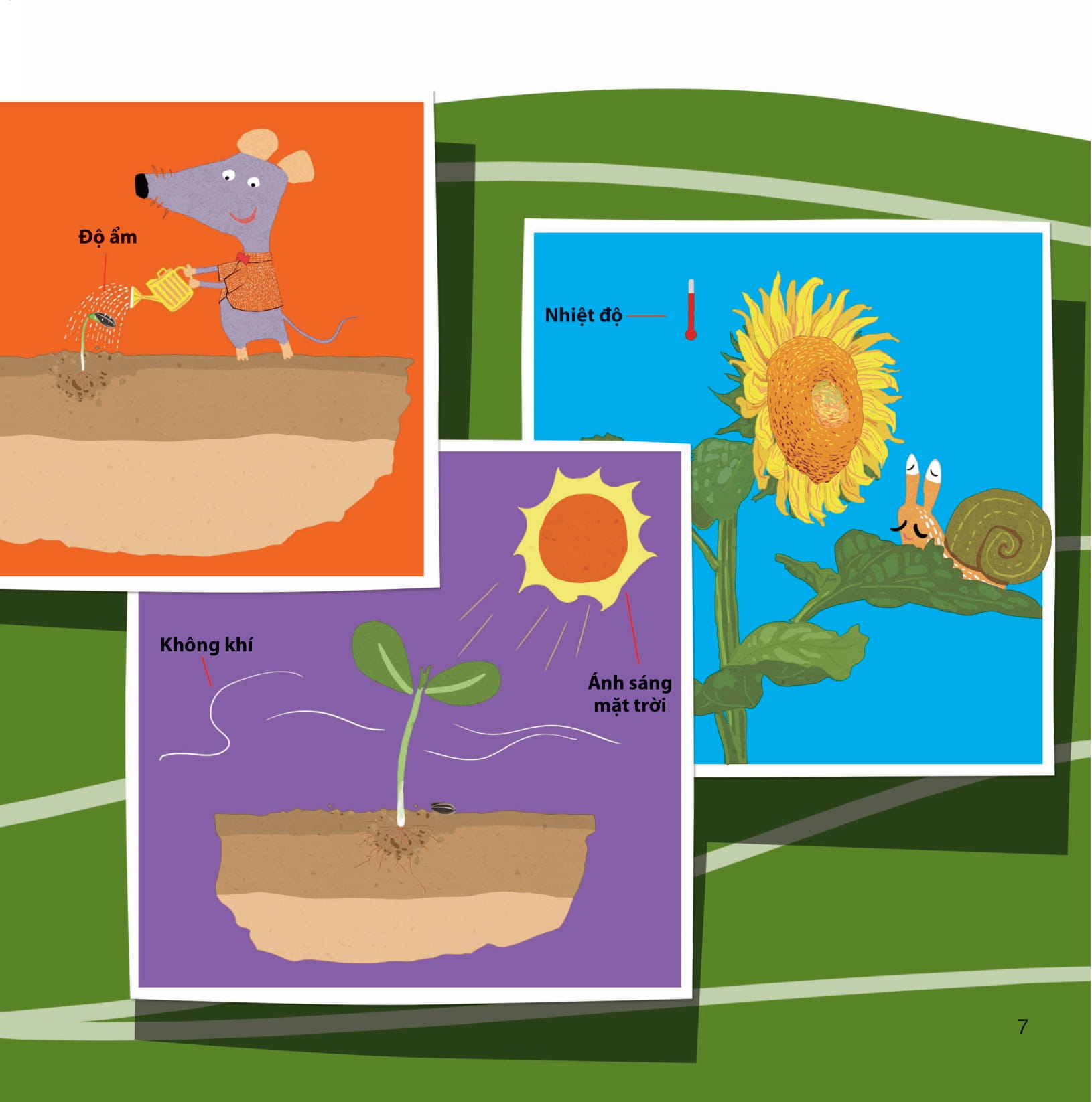 lớp khoa học vỡ lòng - tìm hiểu thực vật