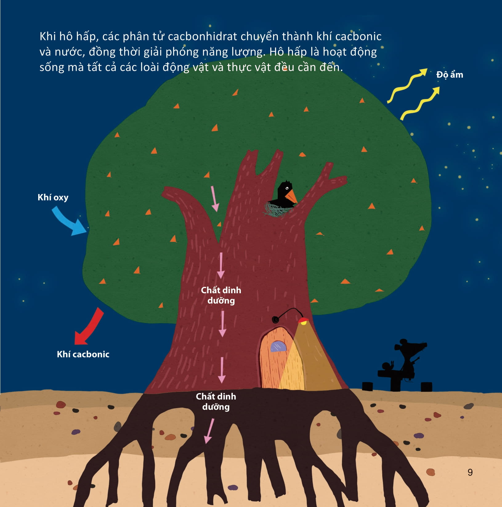 lớp khoa học vỡ lòng - tìm hiểu thực vật