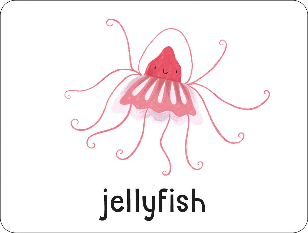 lots to spot flashcards: animals!