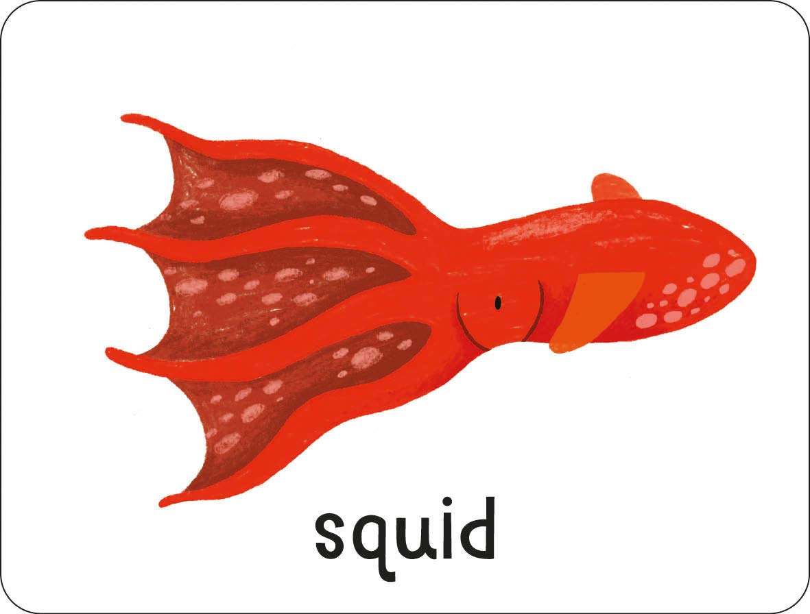 lots to spot flashcards: animals!