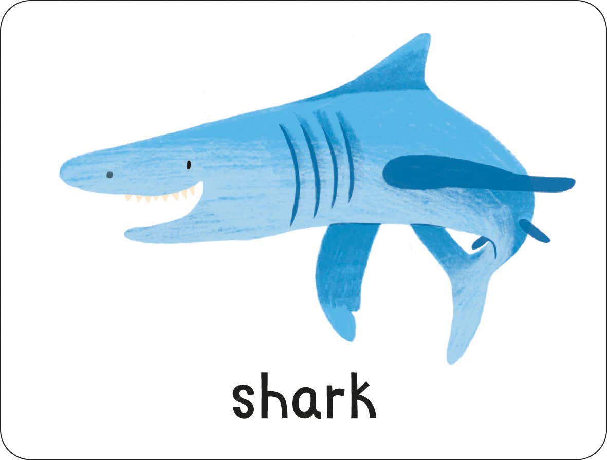 lots to spot flashcards: animals!