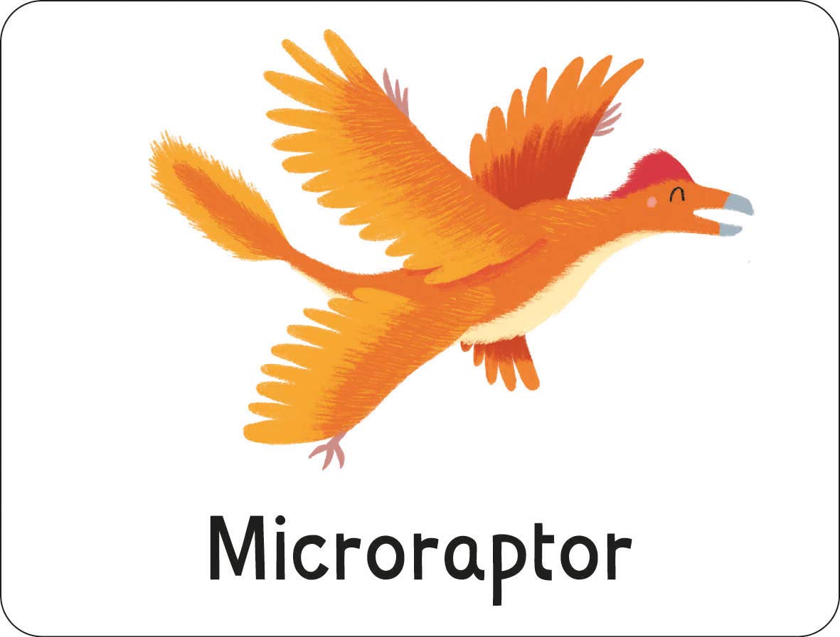 lots to spot flashcards - dinosaurs!