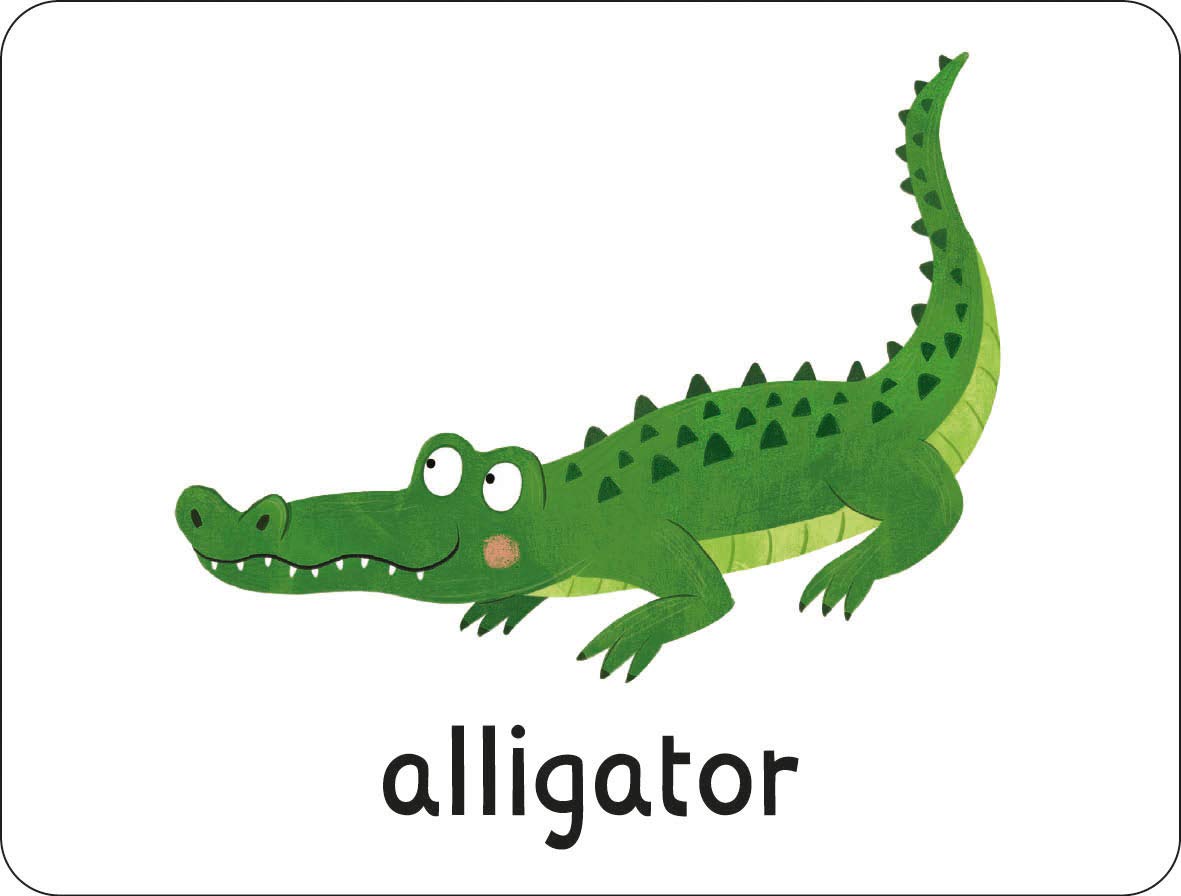 lots to spot flashcards - under the sea!