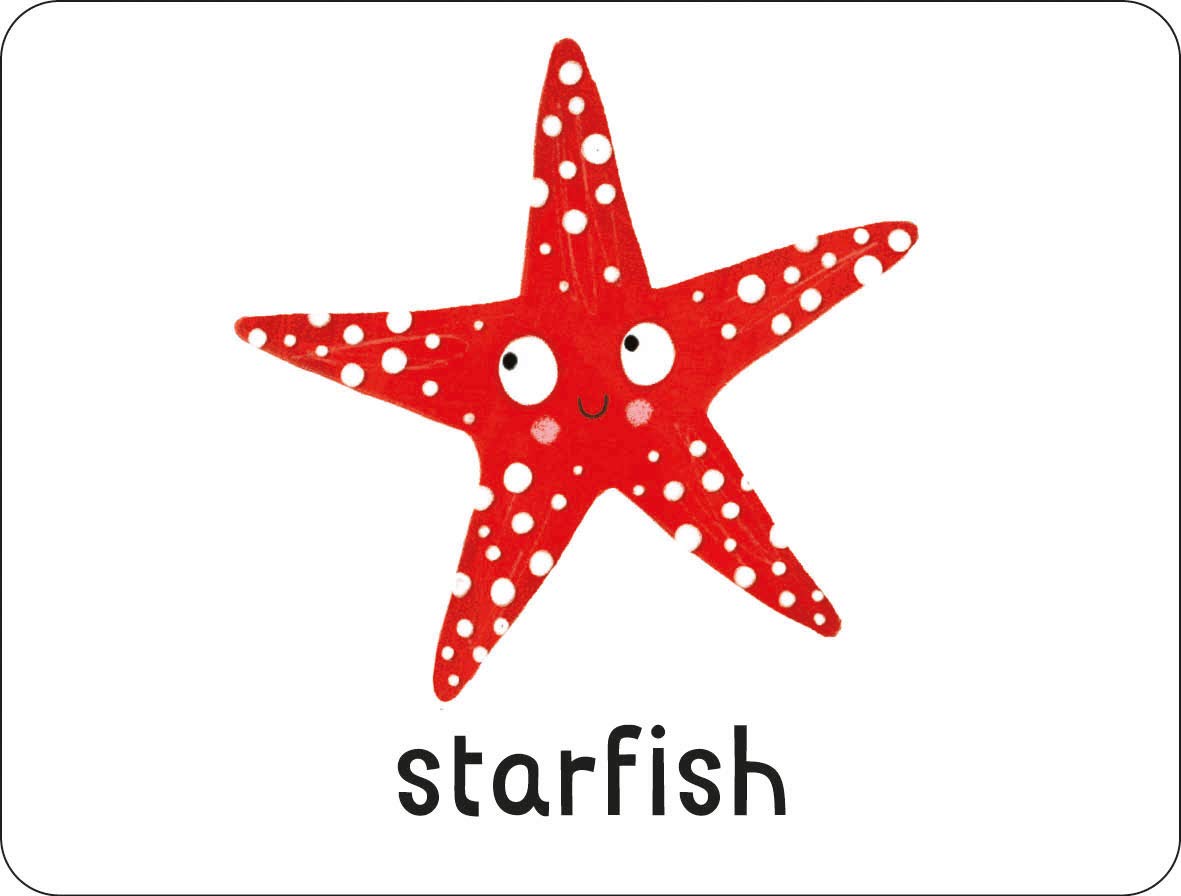 lots to spot flashcards - under the sea!